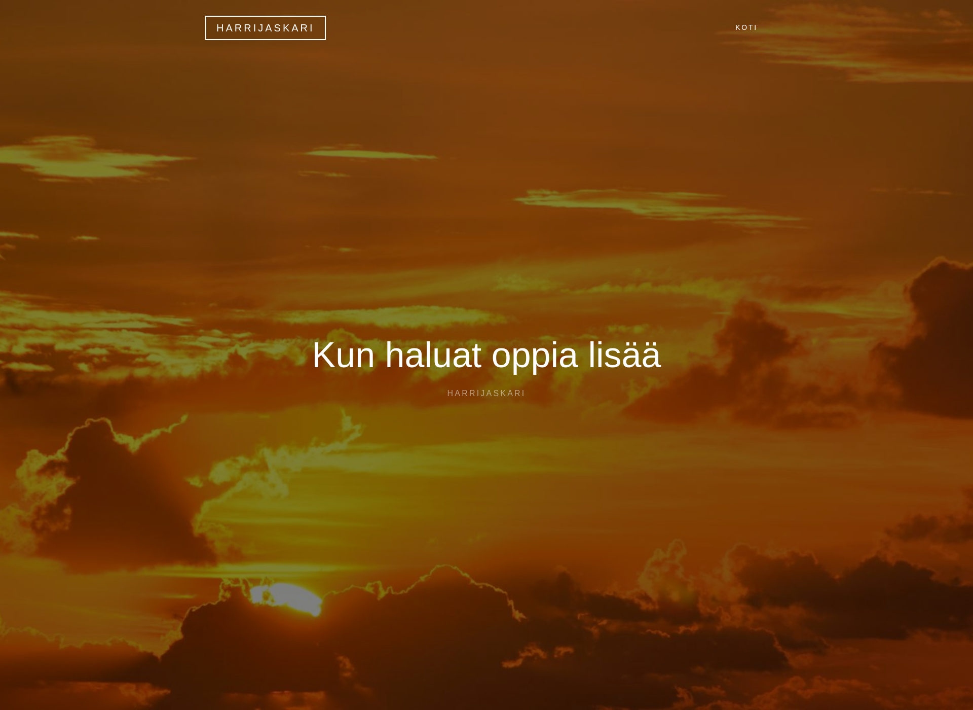 Screenshot for harrijaskari.fi