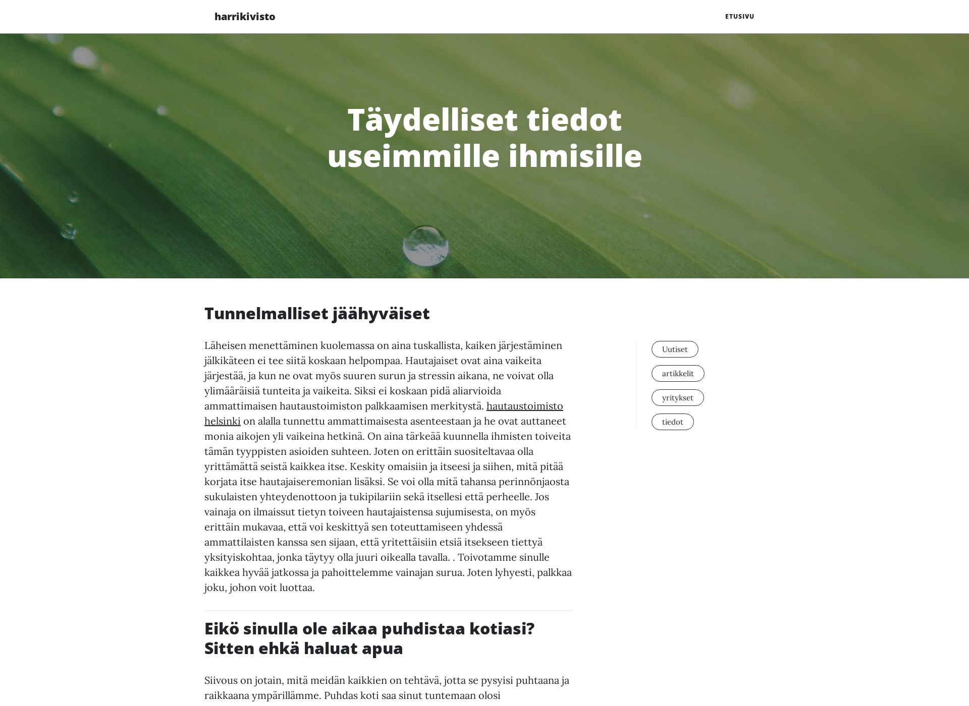 Screenshot for harrikivisto.fi