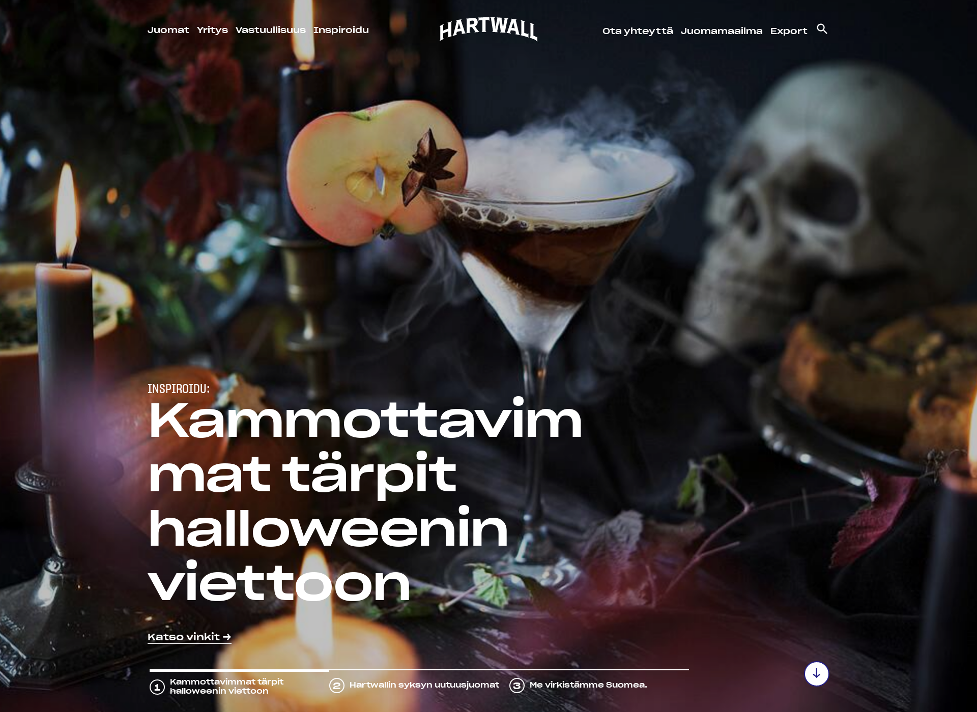 Näyttökuva hartwall.fi
