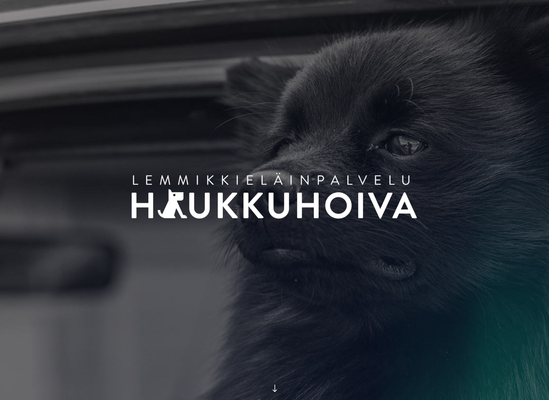 Screenshot for haukkuhoiva.fi