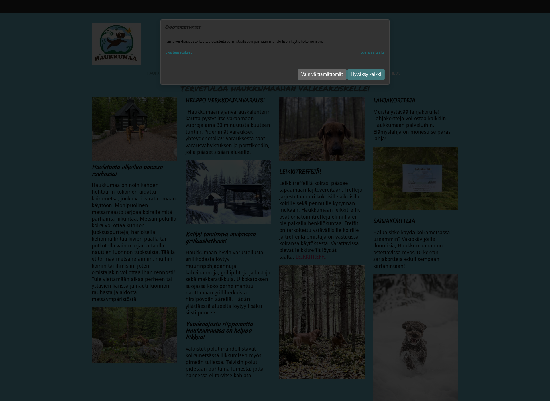 Screenshot for haukkumaa.fi