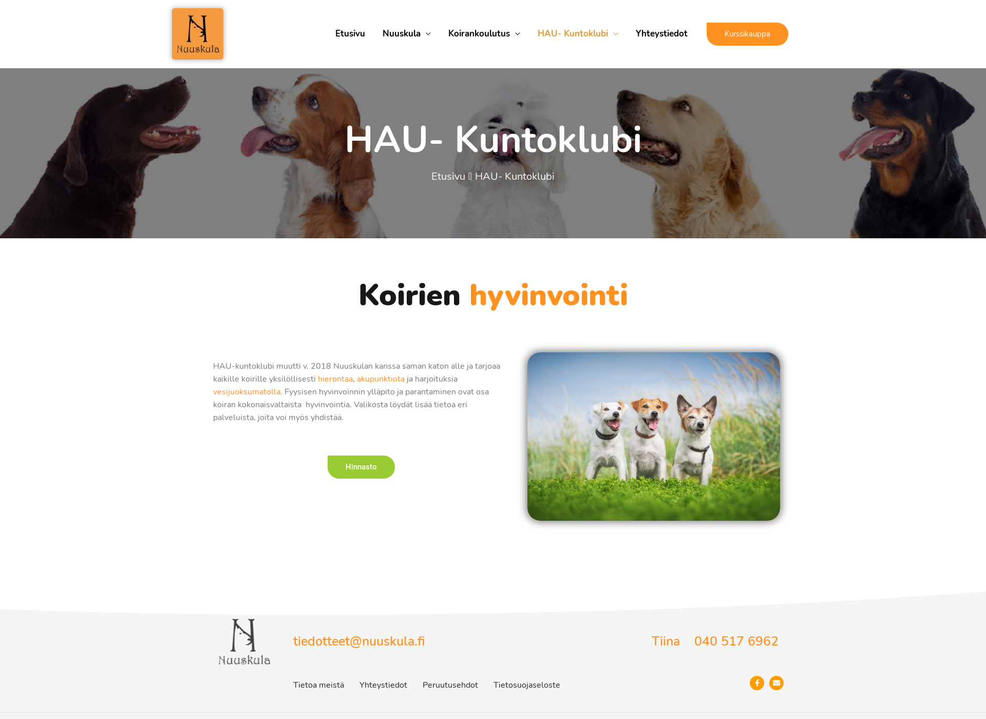 Screenshot for haukuntoklubi.fi