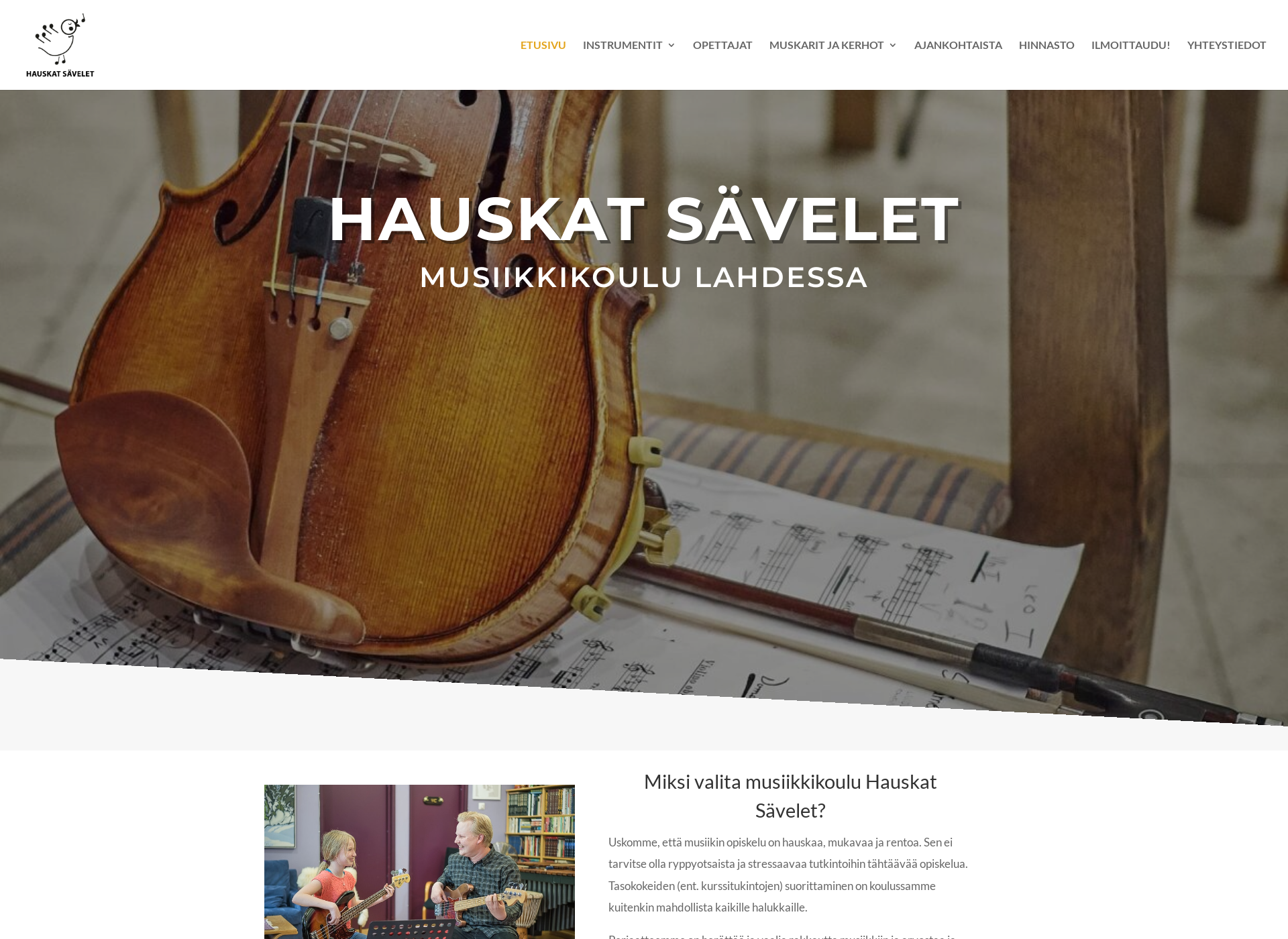 Screenshot for hauskatsavelet.fi