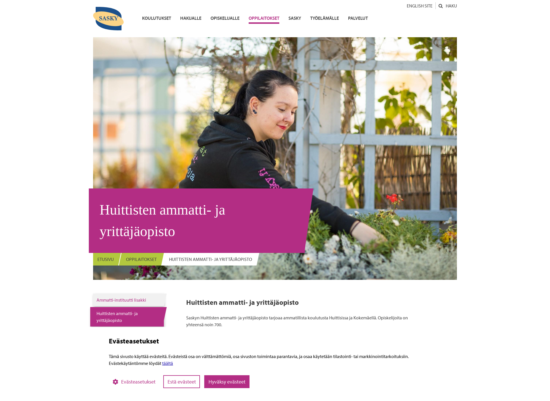 Screenshot for hayo.fi