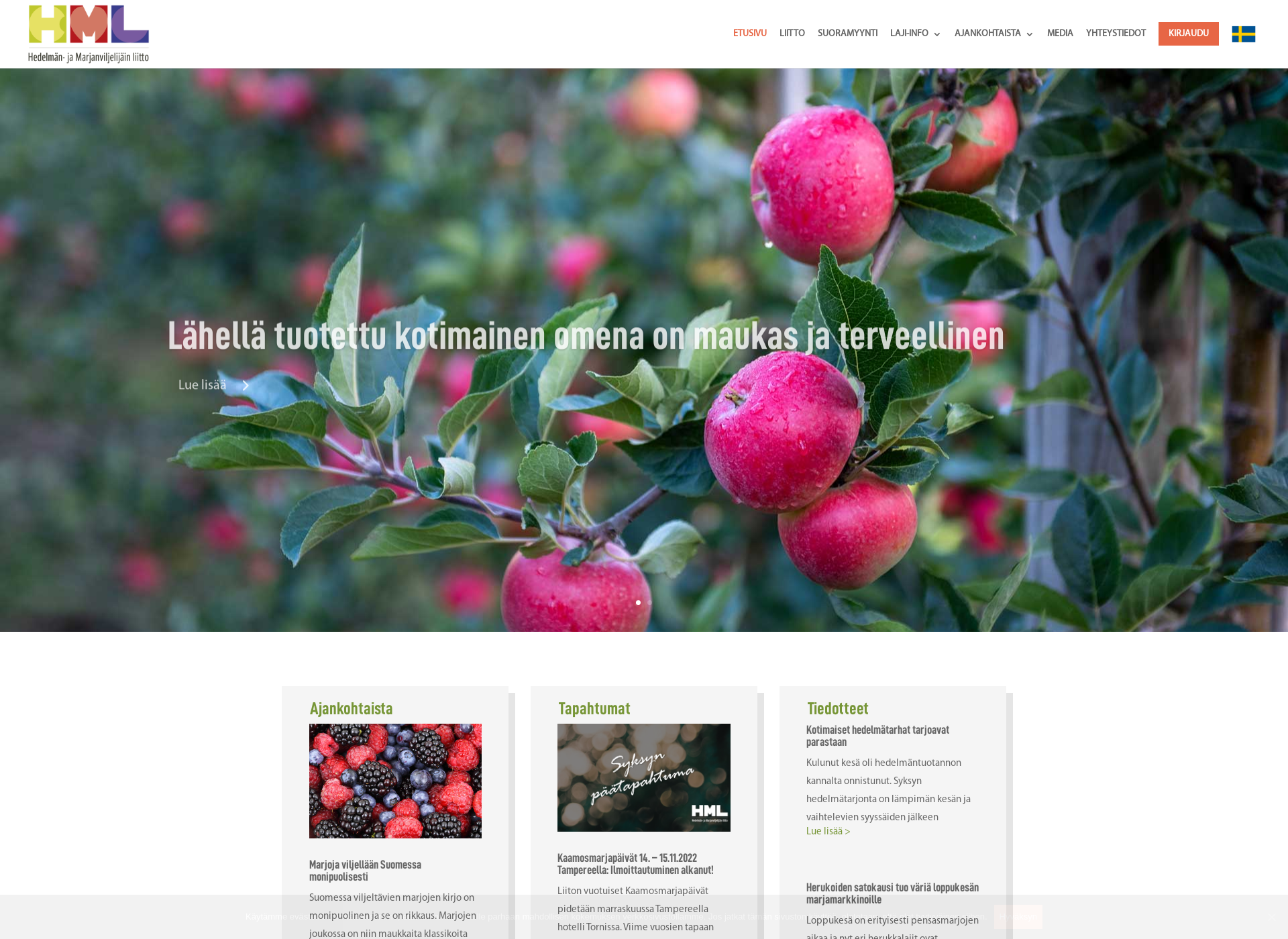 Screenshot for hedelmatmarjat.fi