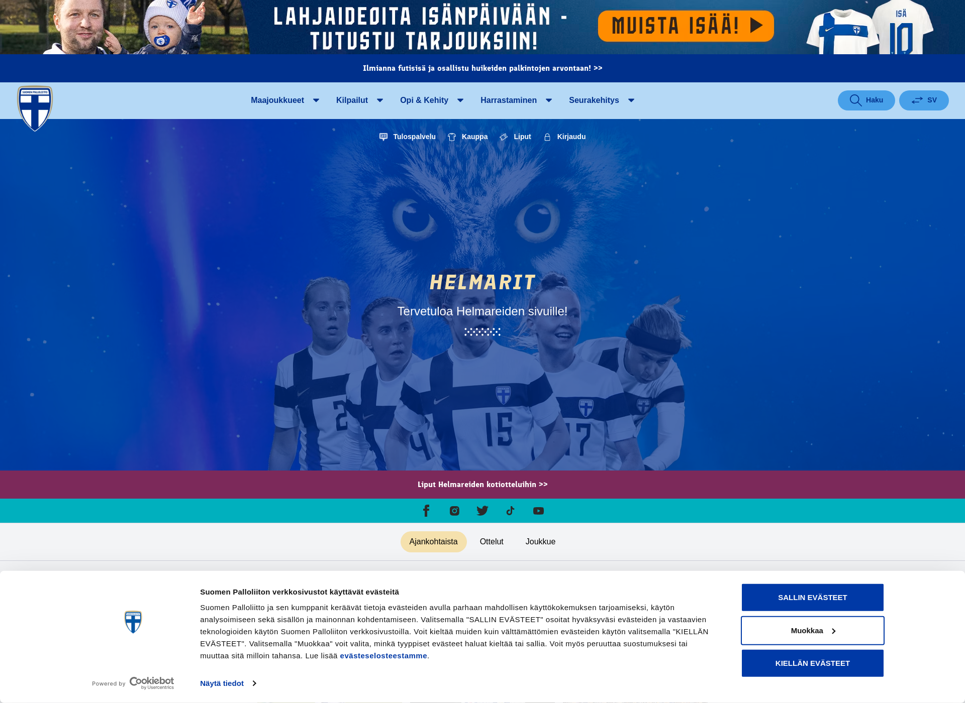 Screenshot for helmarit.fi