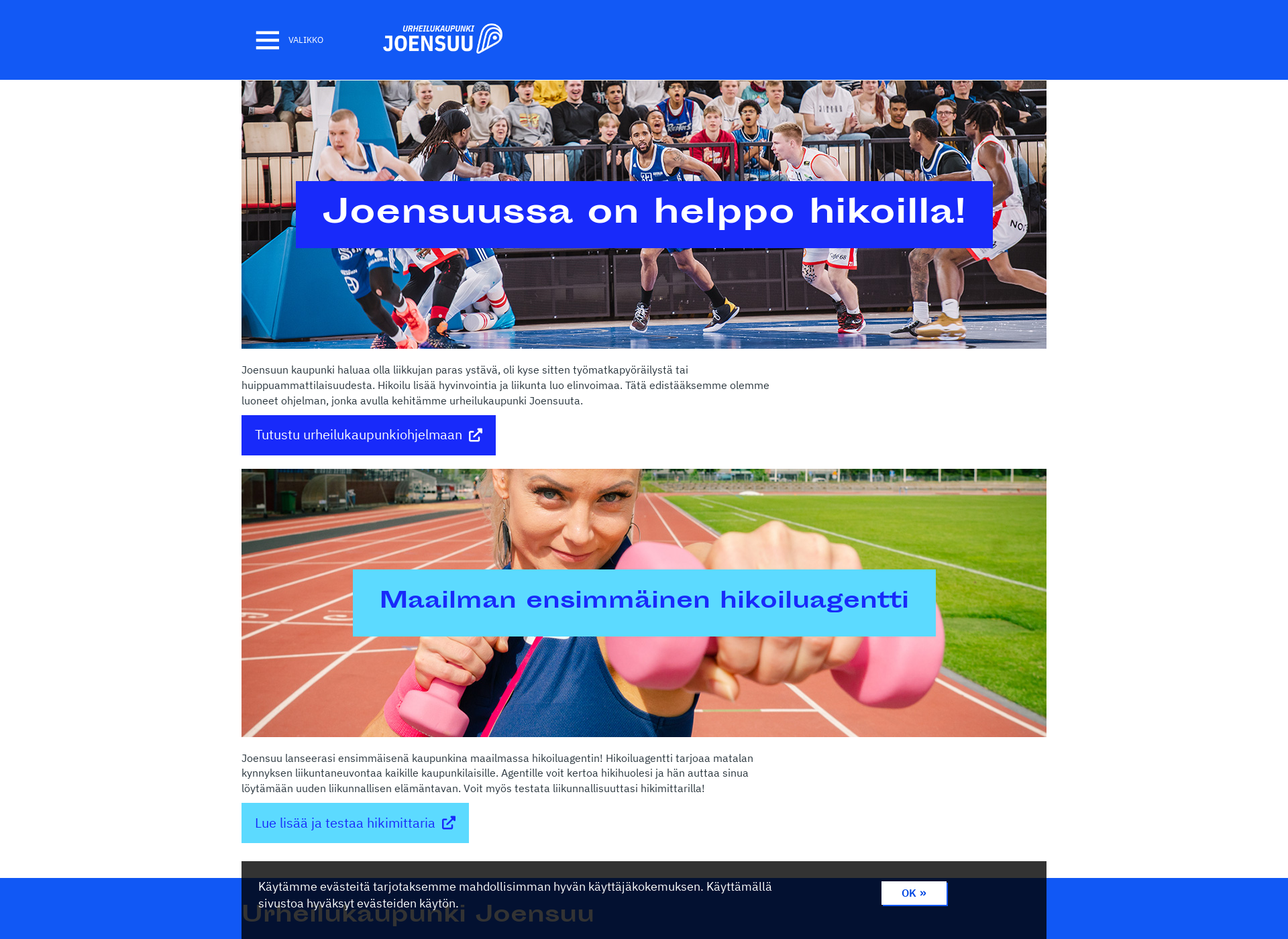 Skärmdump för helppohikoilla.fi