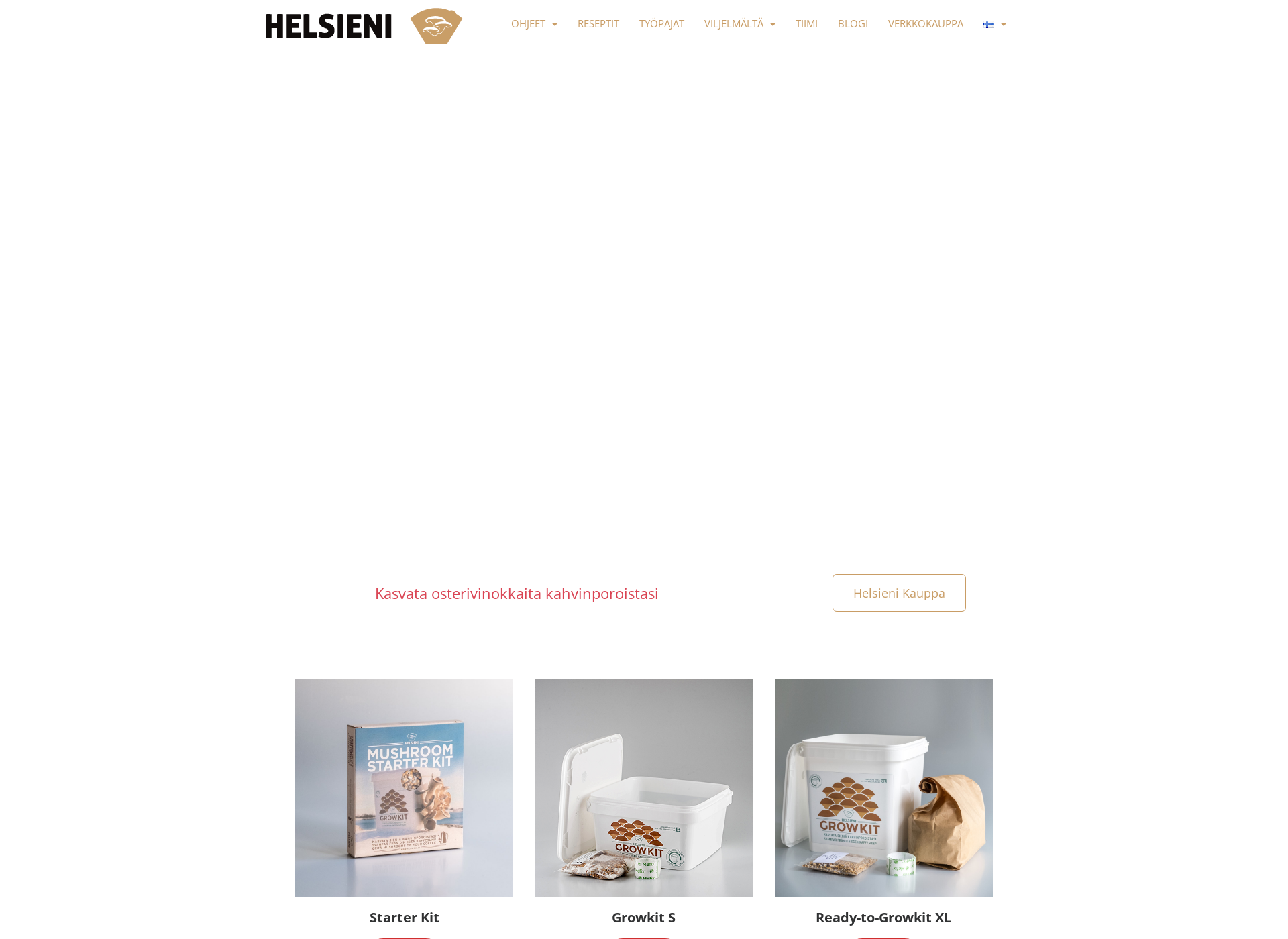 Screenshot for helsieni.fi