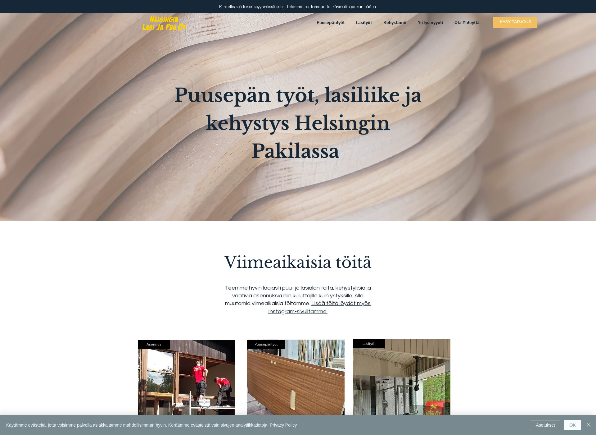 Screenshot for helsinginlasijapuu.fi