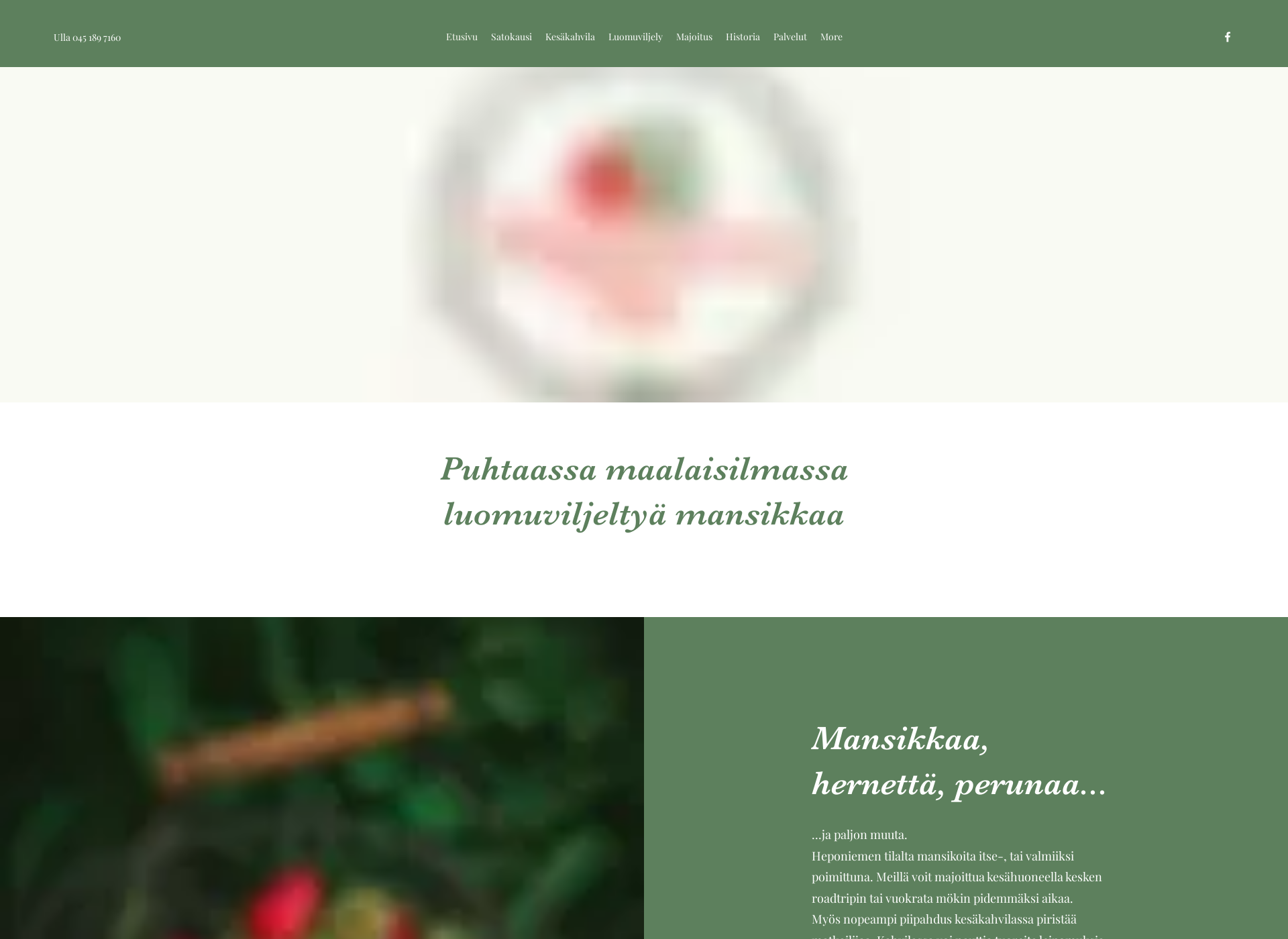 Screenshot for heponiementila.fi
