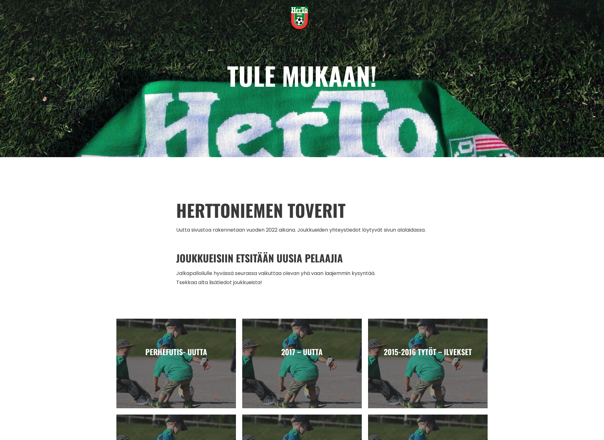 Screenshot for herto.fi