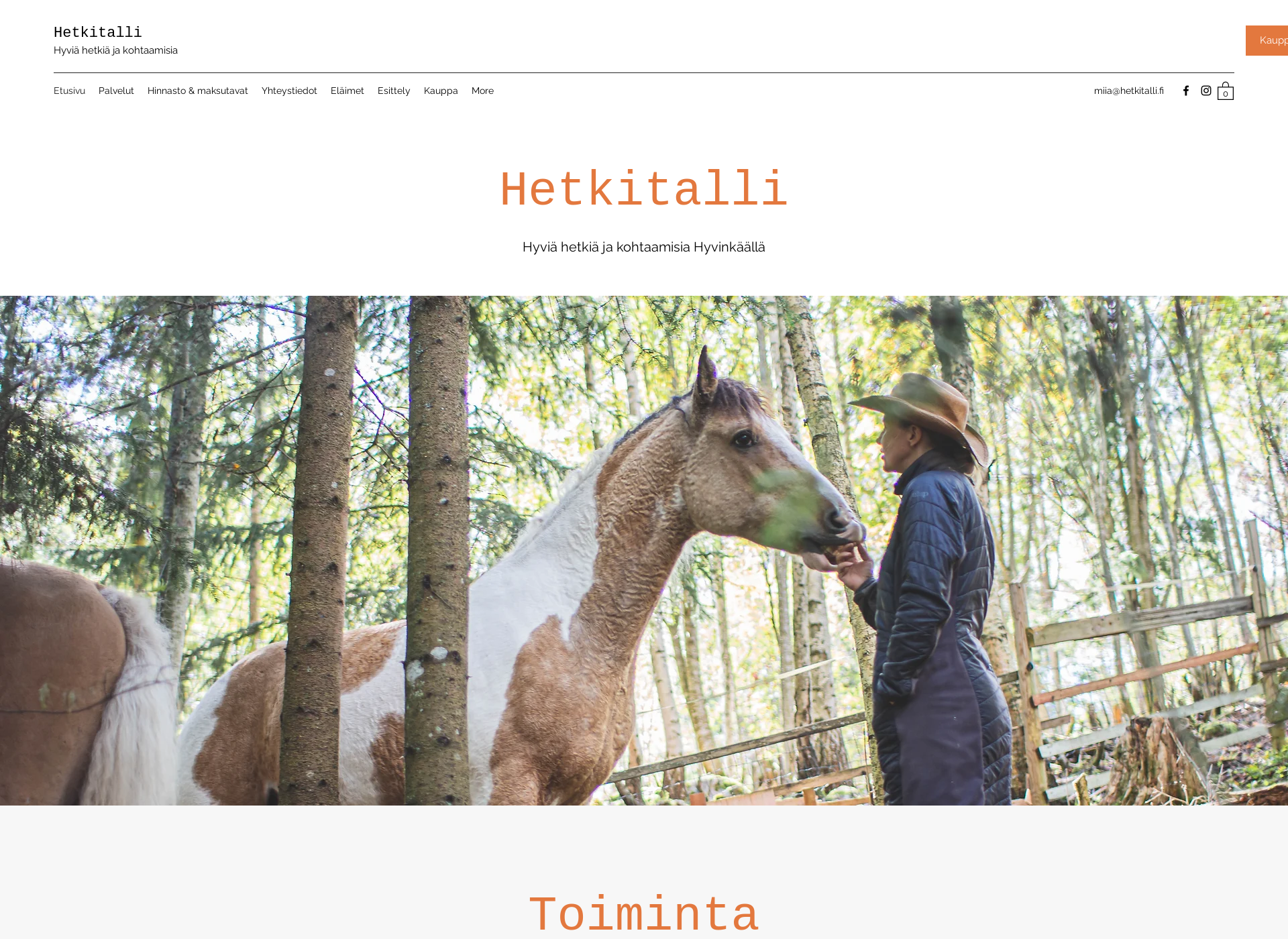 Screenshot for hetkitalli.fi