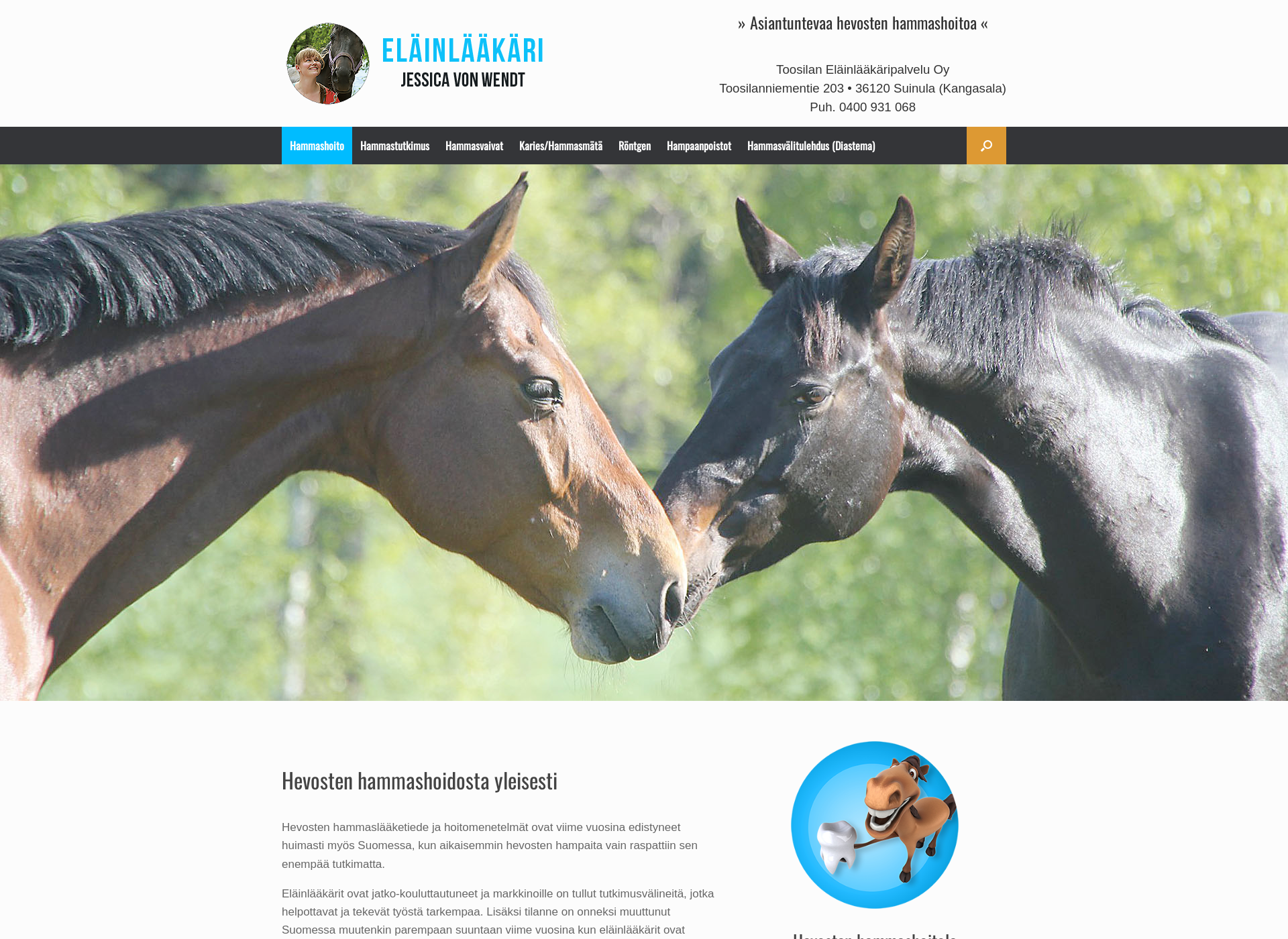 Skärmdump för hevostenhammashoito.fi