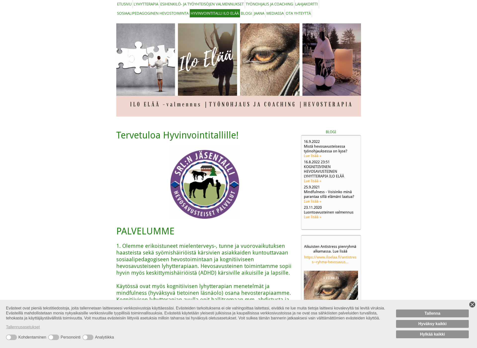 Screenshot for hevosterapiaa.fi