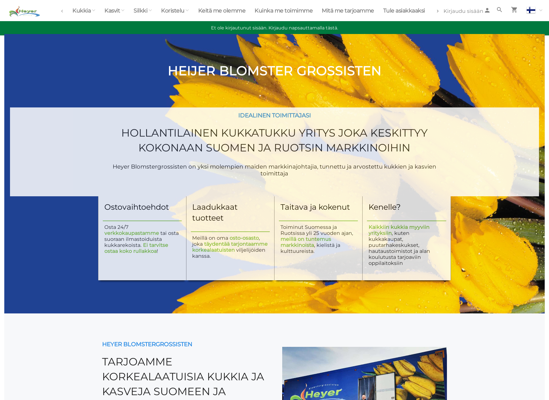 Screenshot for heyer.fi