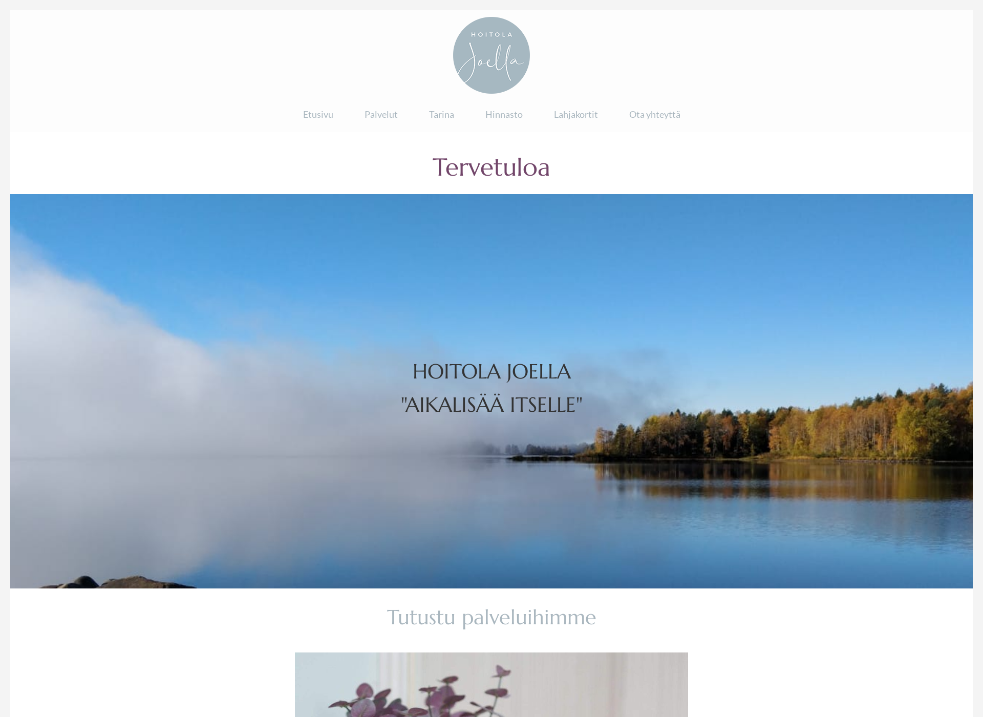 Screenshot for hierojajaanakauppi.fi