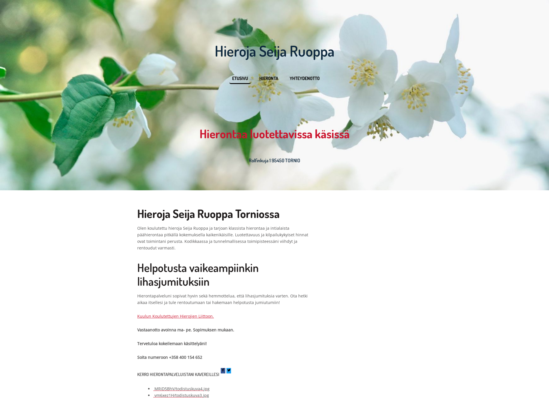 Screenshot for hierojatornio.fi