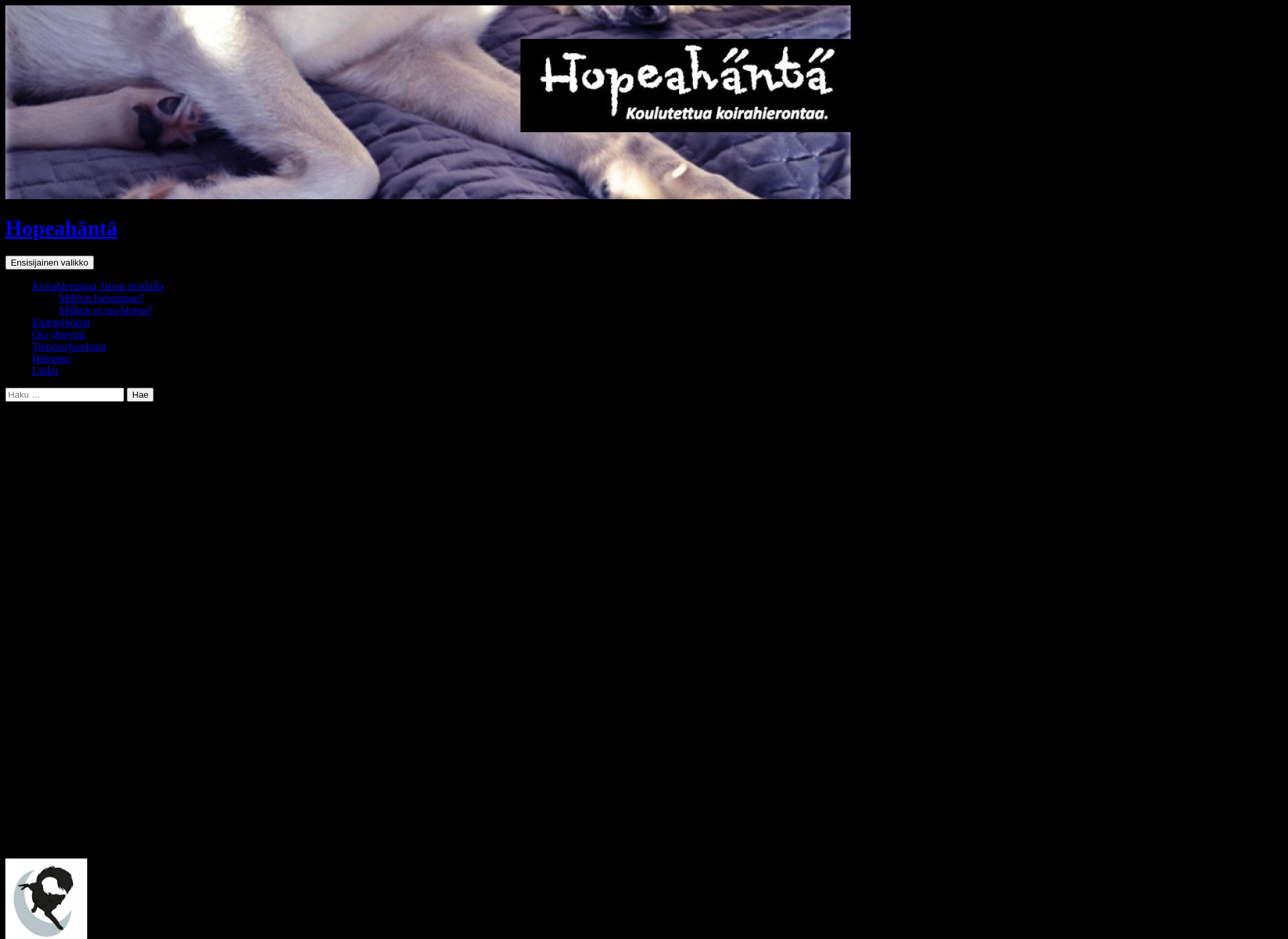 Screenshot for hierontahopeahanta.fi