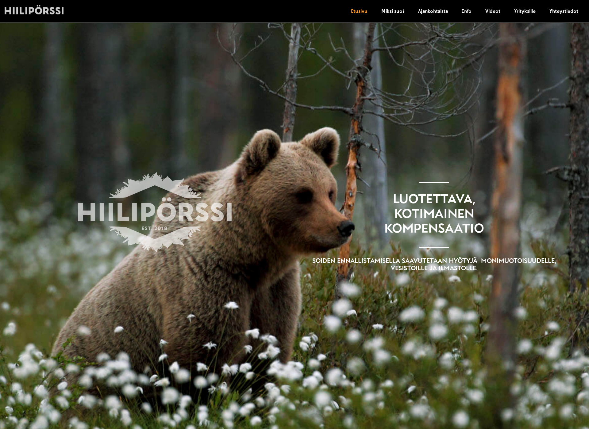 Screenshot for hiilipörssi.fi