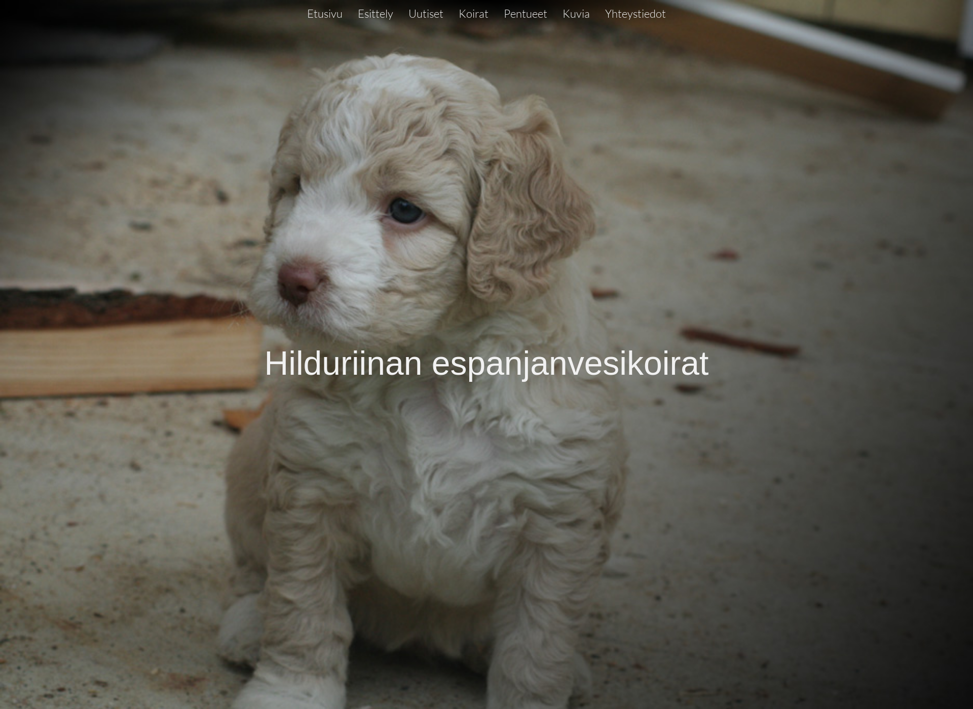 Screenshot for hilduriinan.fi