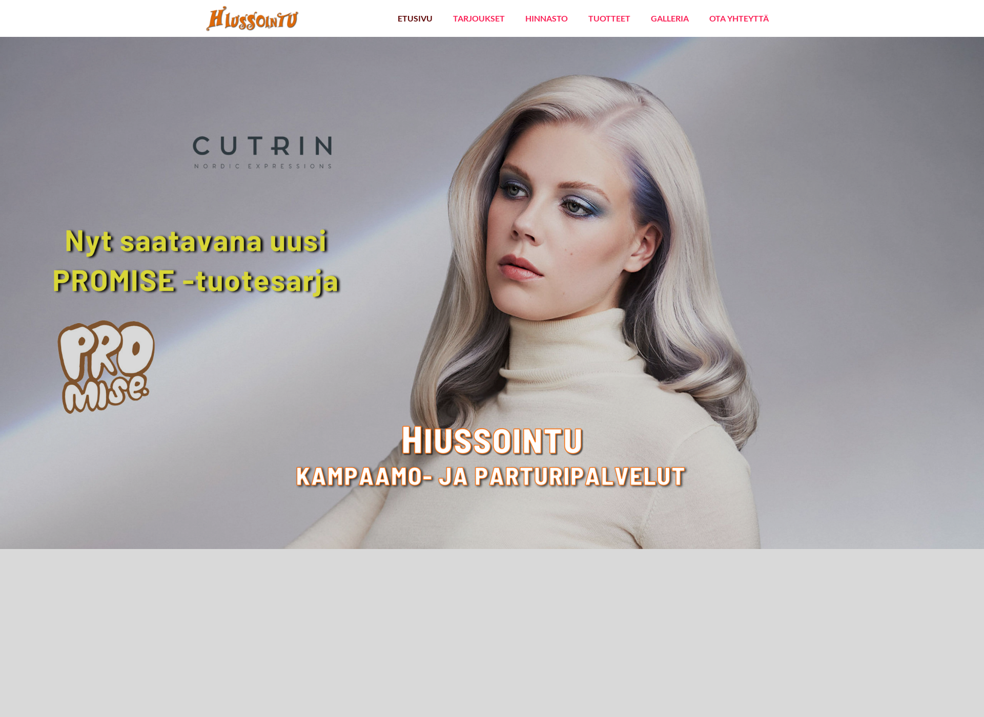 Skärmdump för hiussointu.fi