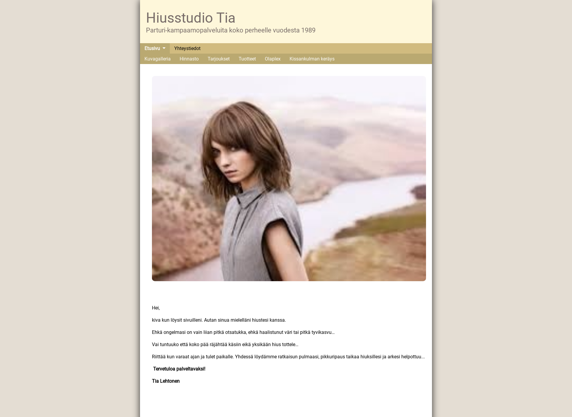 Screenshot for hiusstudiotia.fi