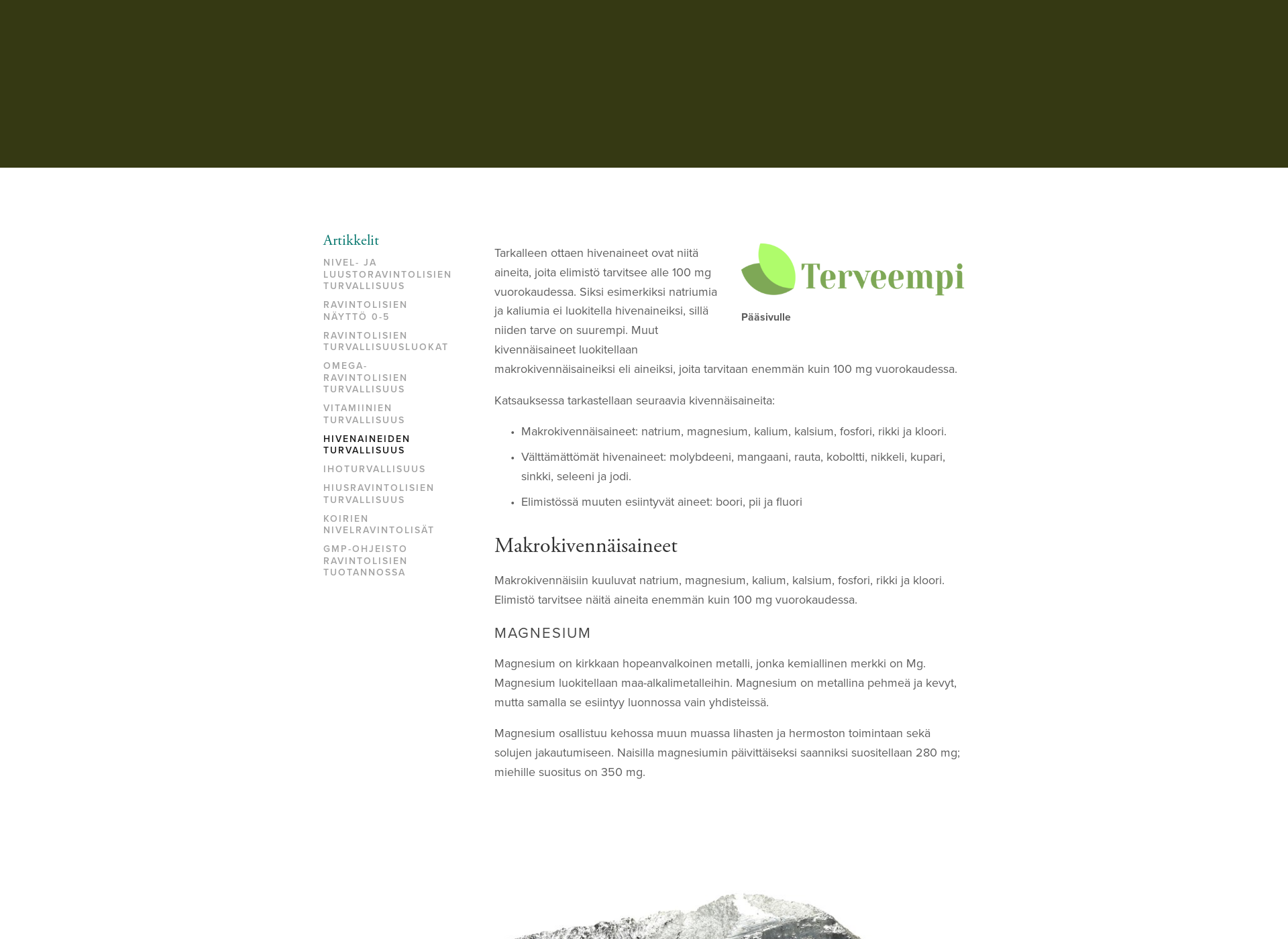 Skärmdump för hivenaineturvallisuus.fi