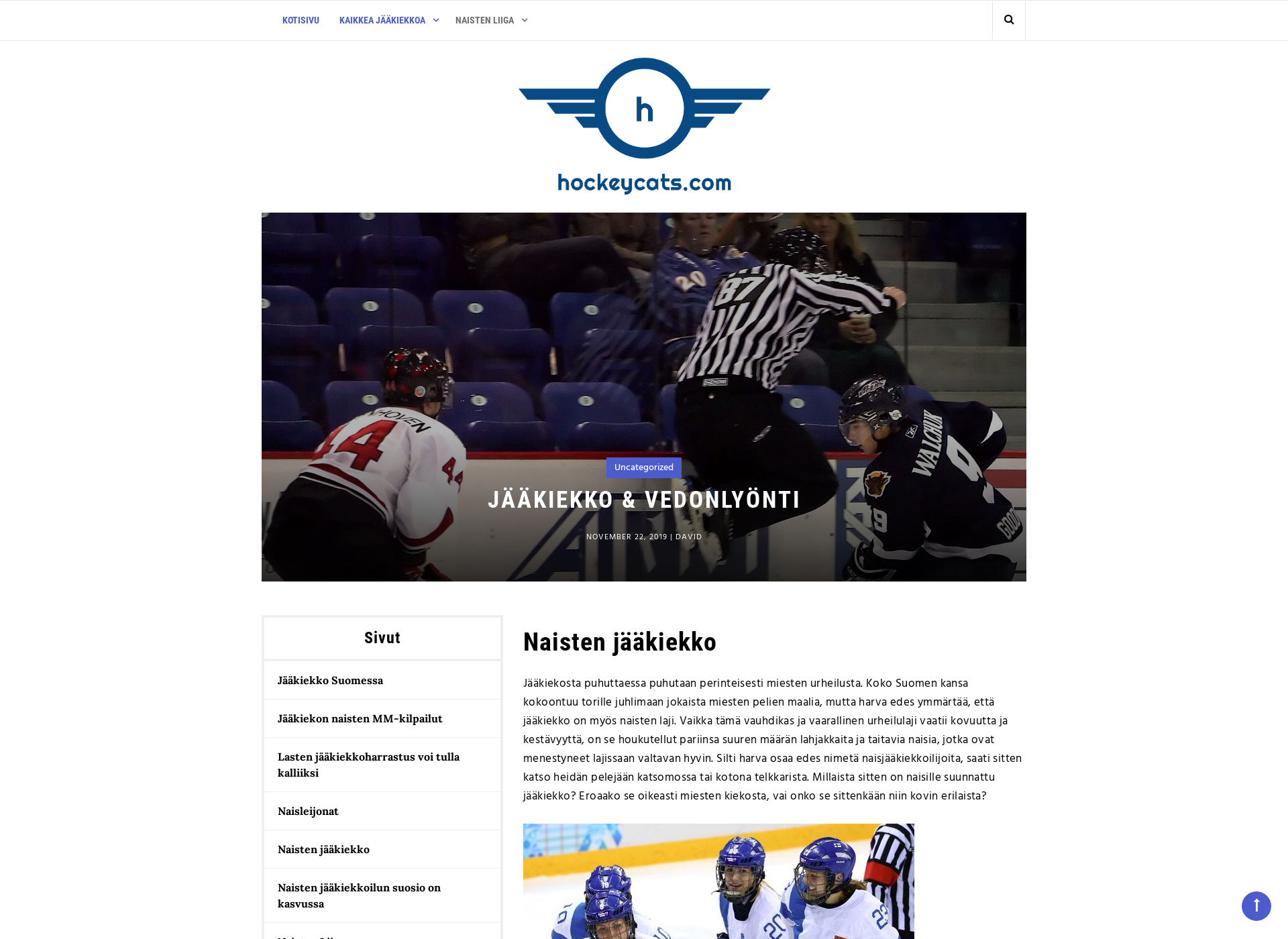 Skärmdump för hockeycats.fi