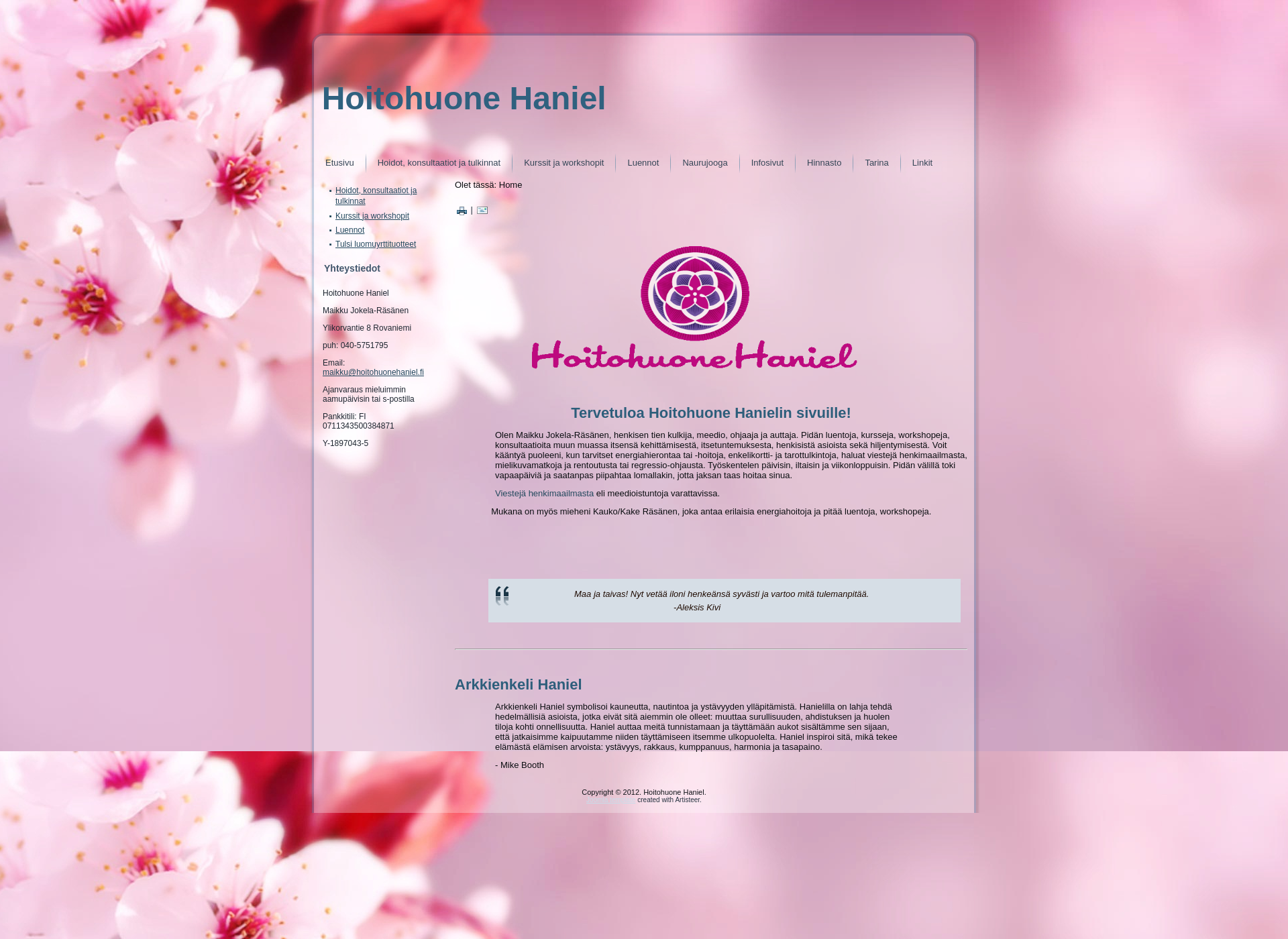 Screenshot for hoitohuonehaniel.fi