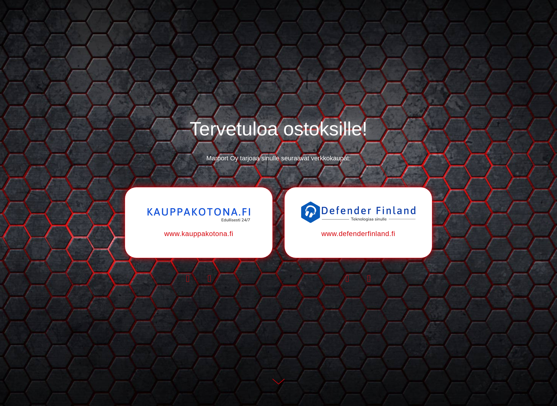 Screenshot for hoitolatarvike.fi