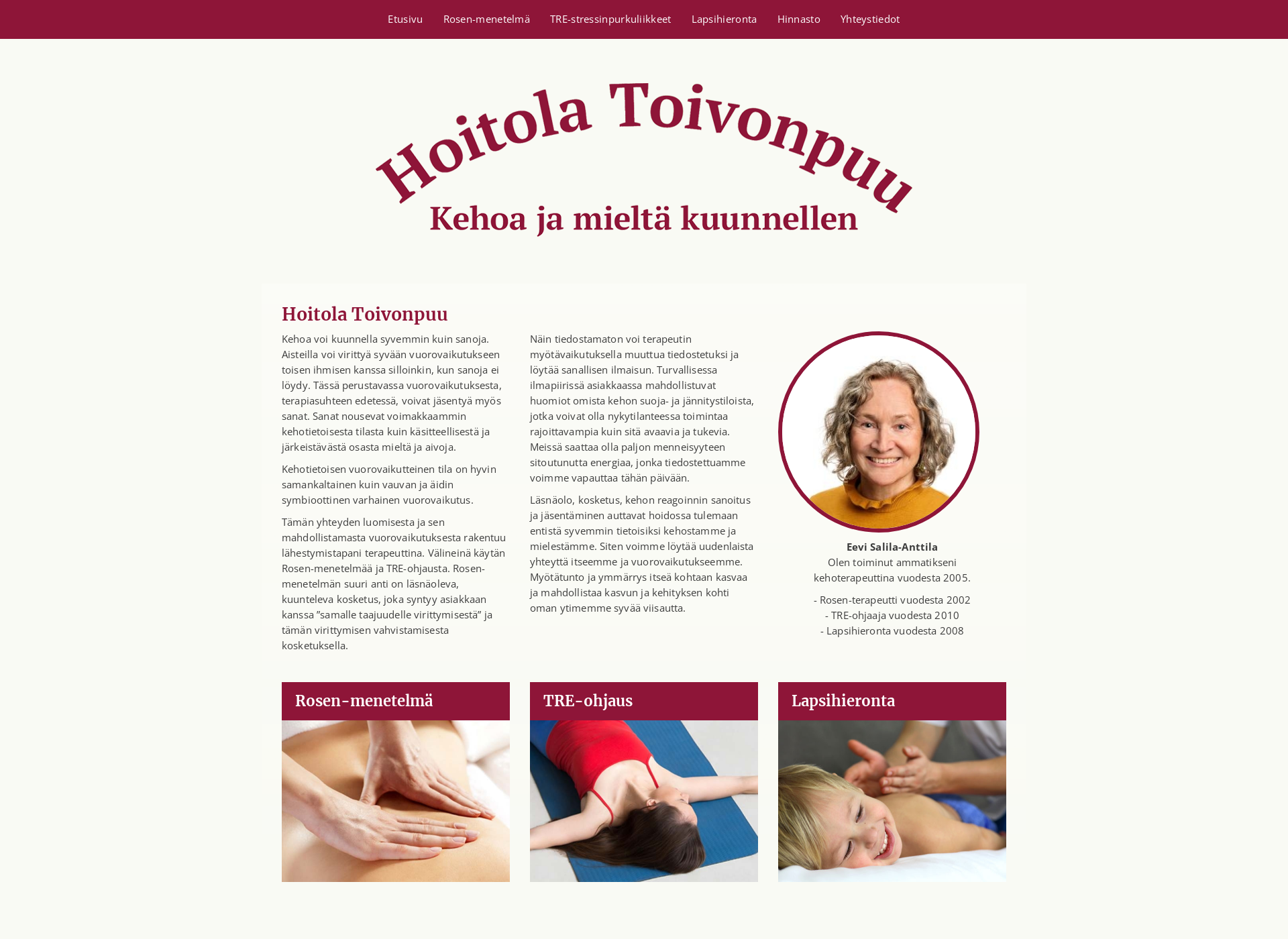 Screenshot for hoitolatoivonpuu.fi