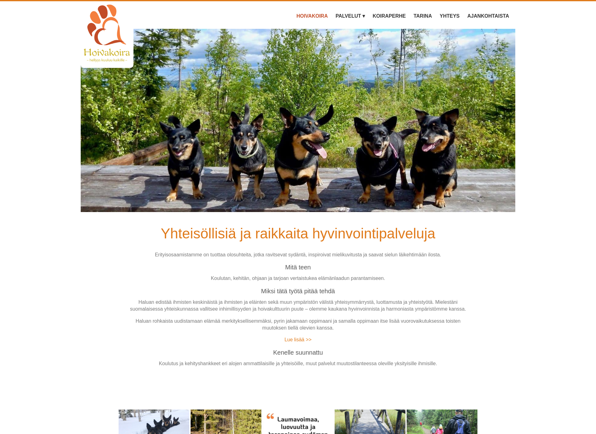 Screenshot for hoivakoira.fi