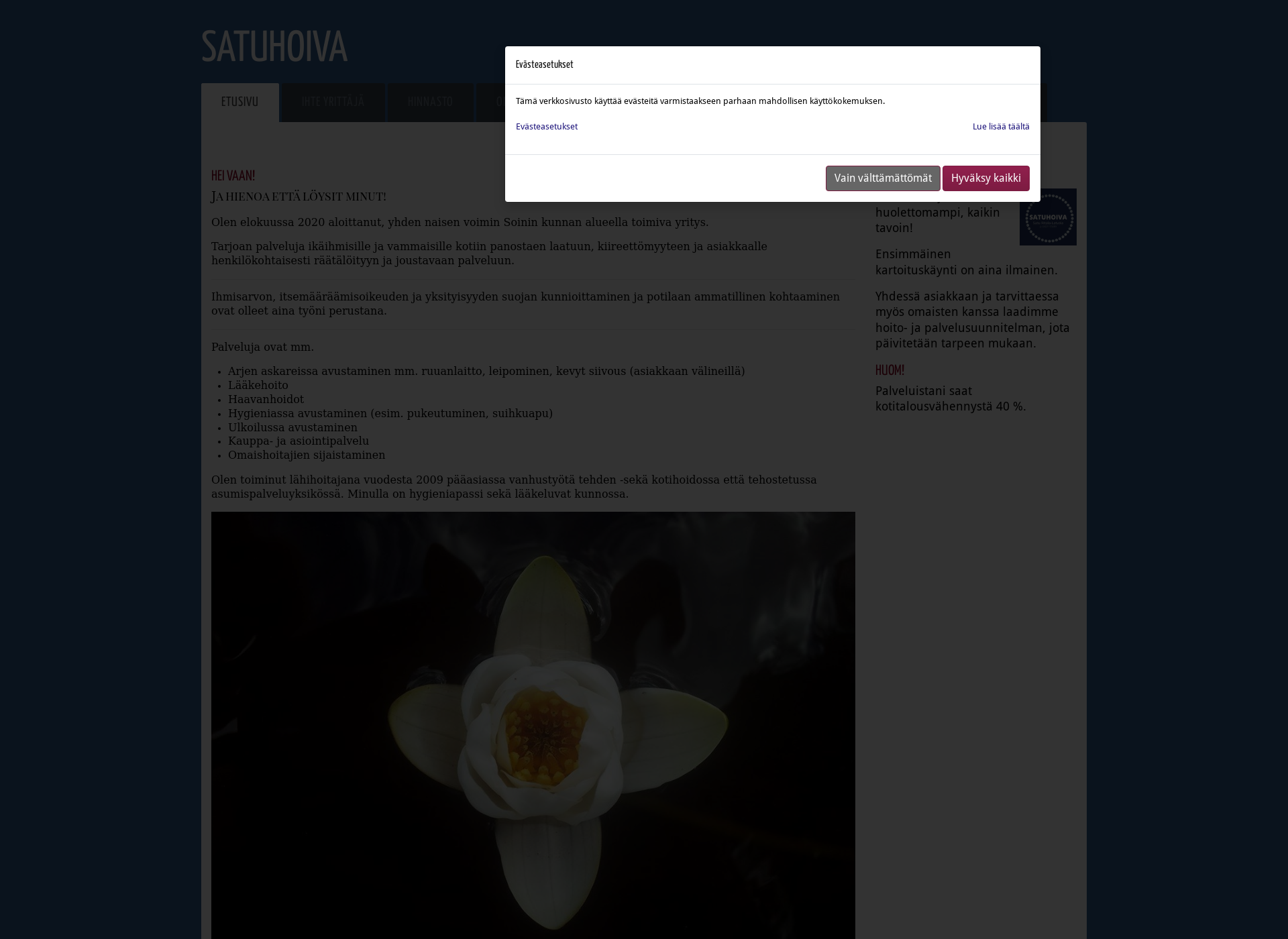Screenshot for hoivasatu.fi