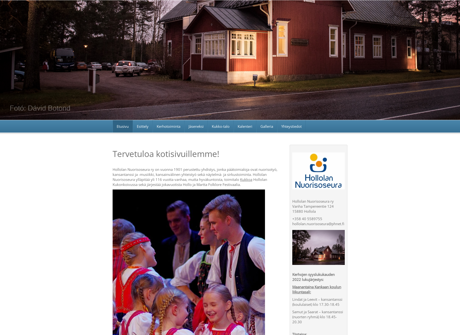 Screenshot for hollolannuorisoseura.fi