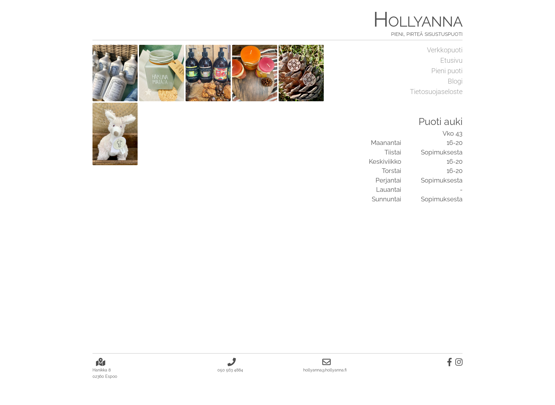 Screenshot for hollyanna.fi