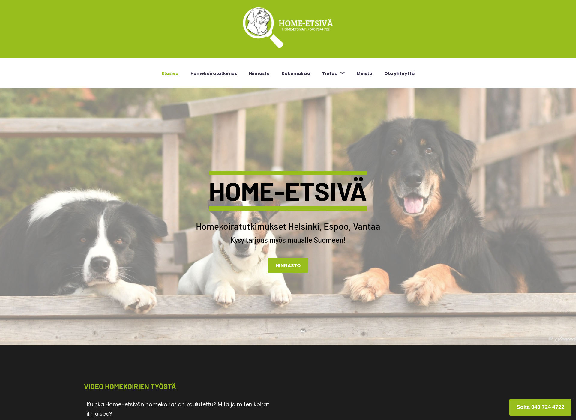 Screenshot for home-etsiva.fi