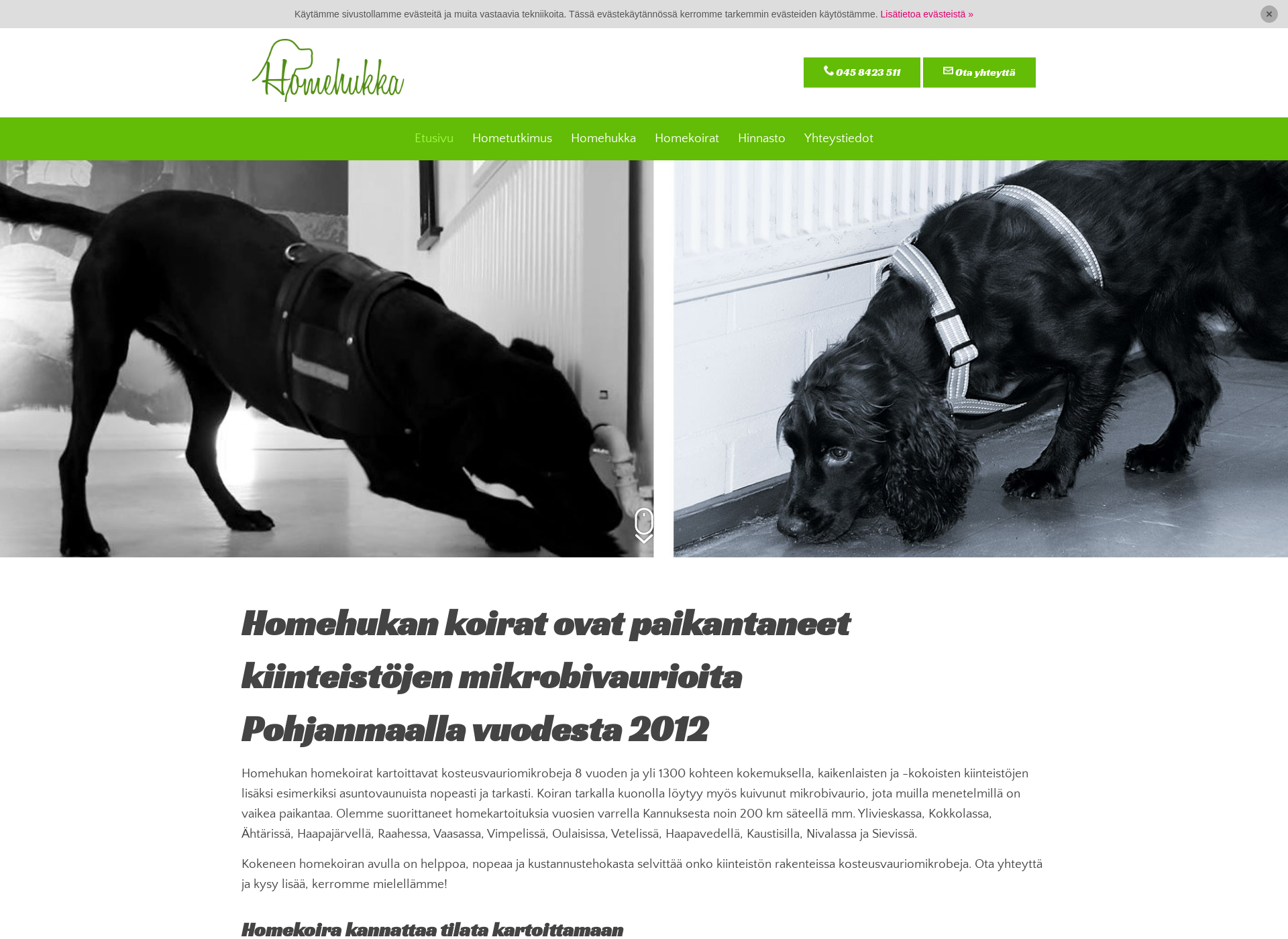 Skärmdump för homehukka.fi