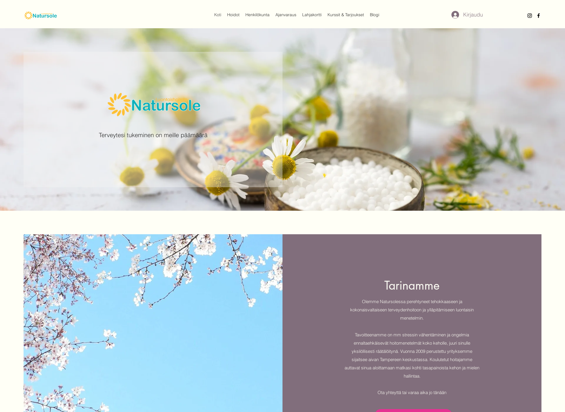 Screenshot for homeopatia-tampere.fi
