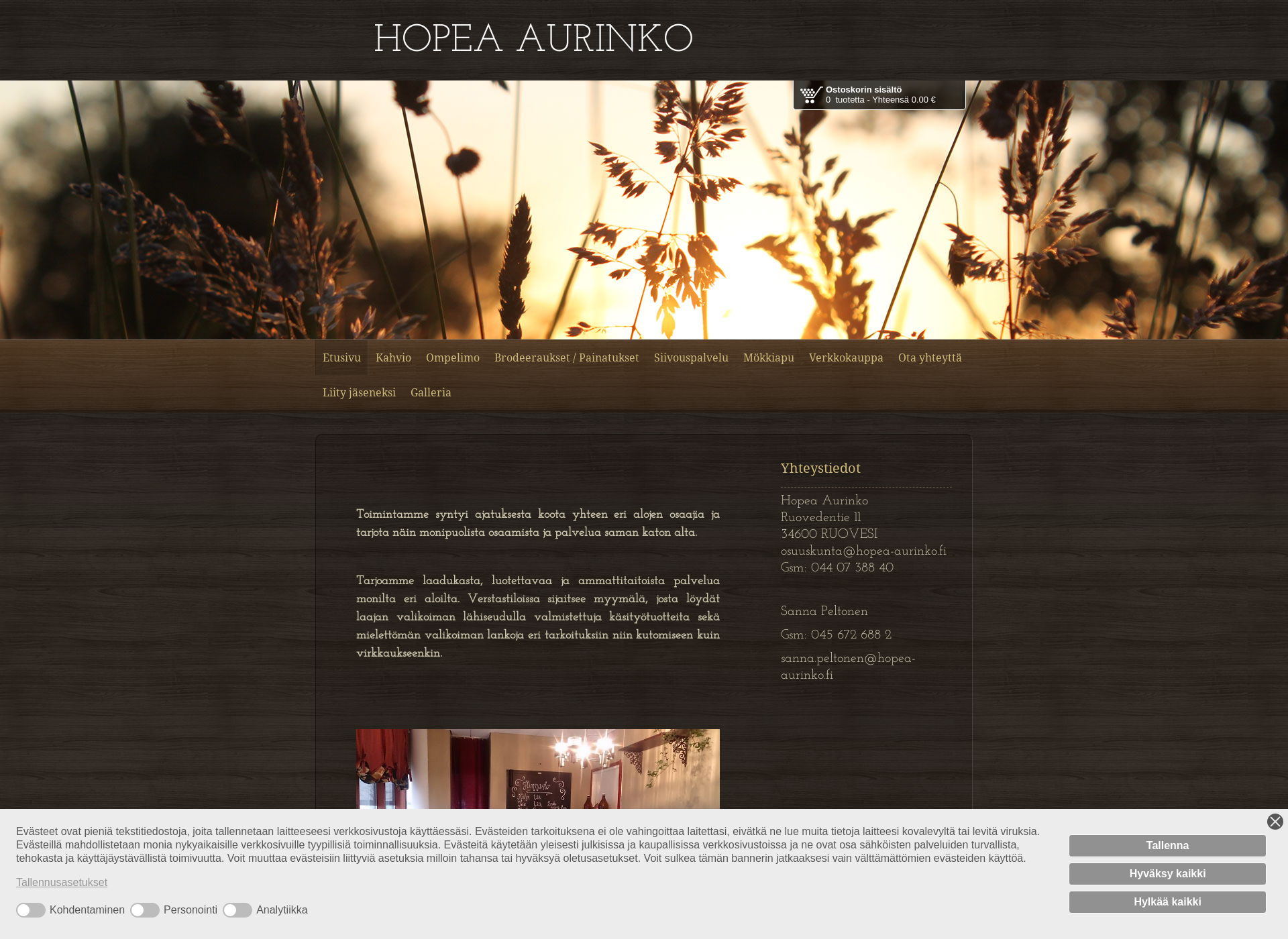 Screenshot for hopea-aurinko.fi