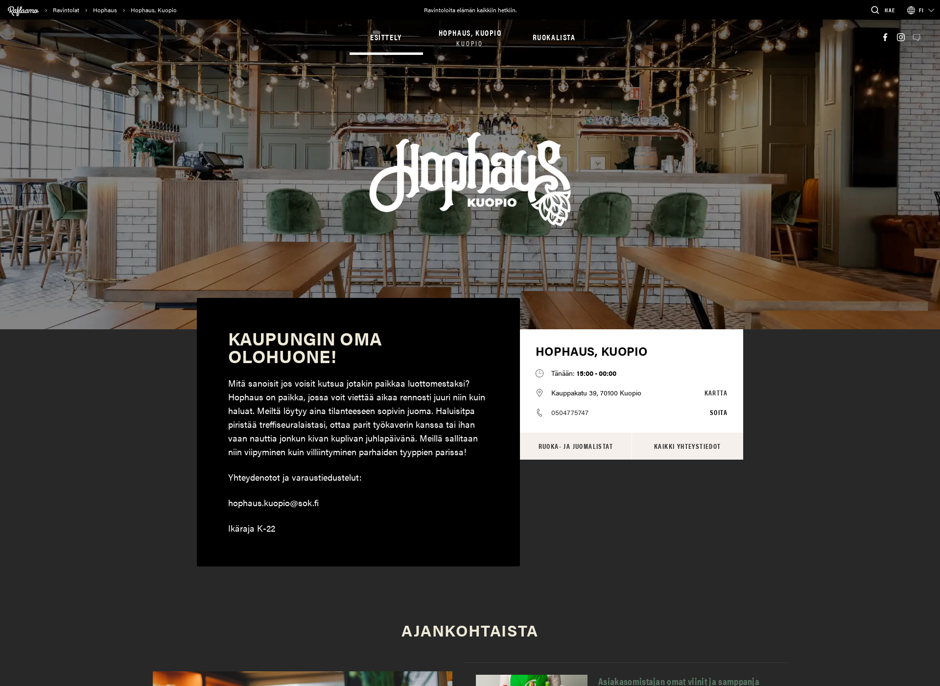 Screenshot for hophauskuopio.fi
