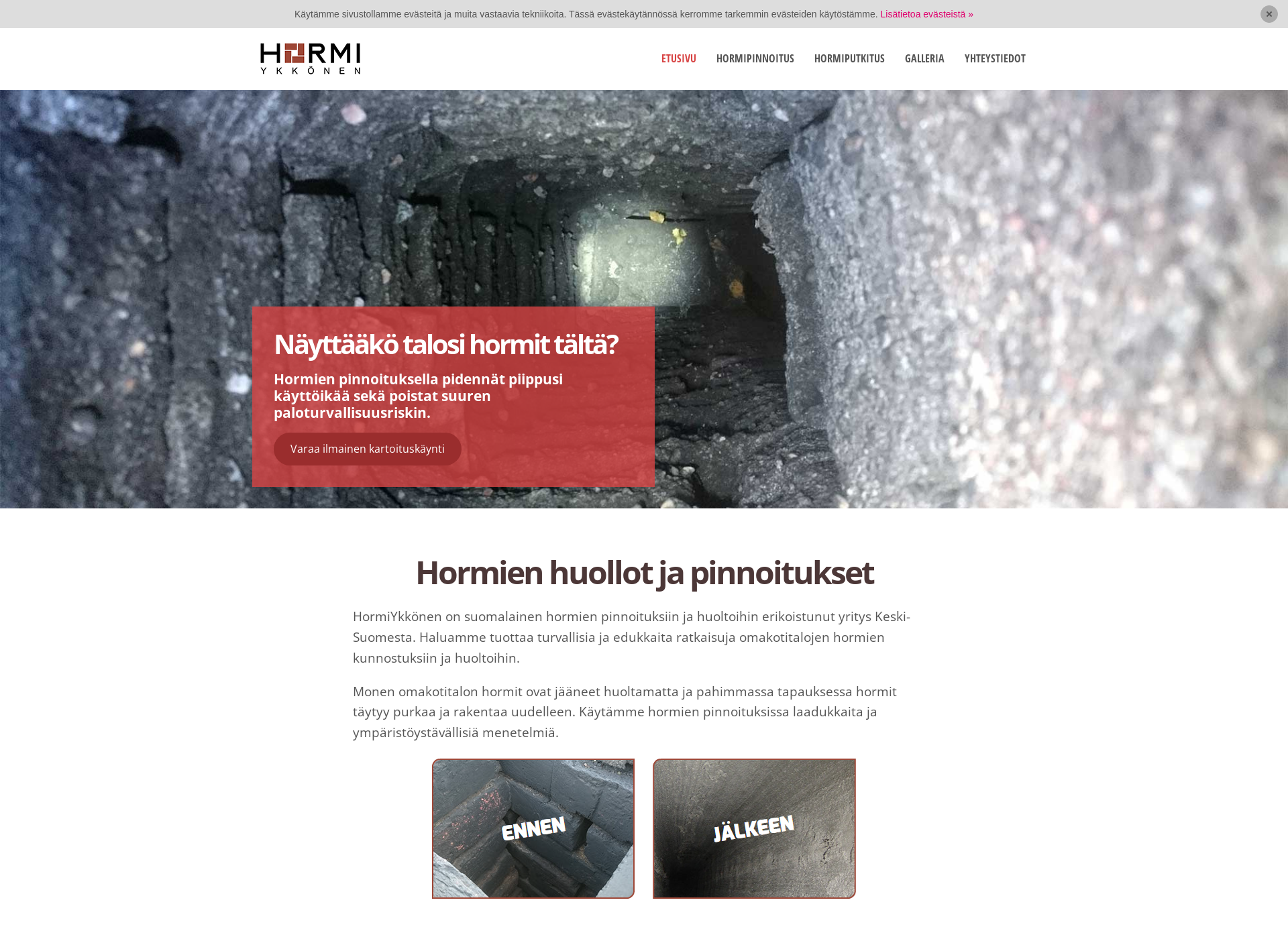 Screenshot for hormiykkonen.fi