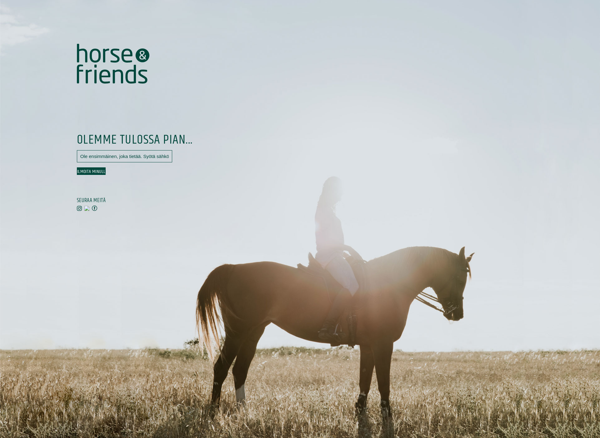 Screenshot for horseandfriends.fi