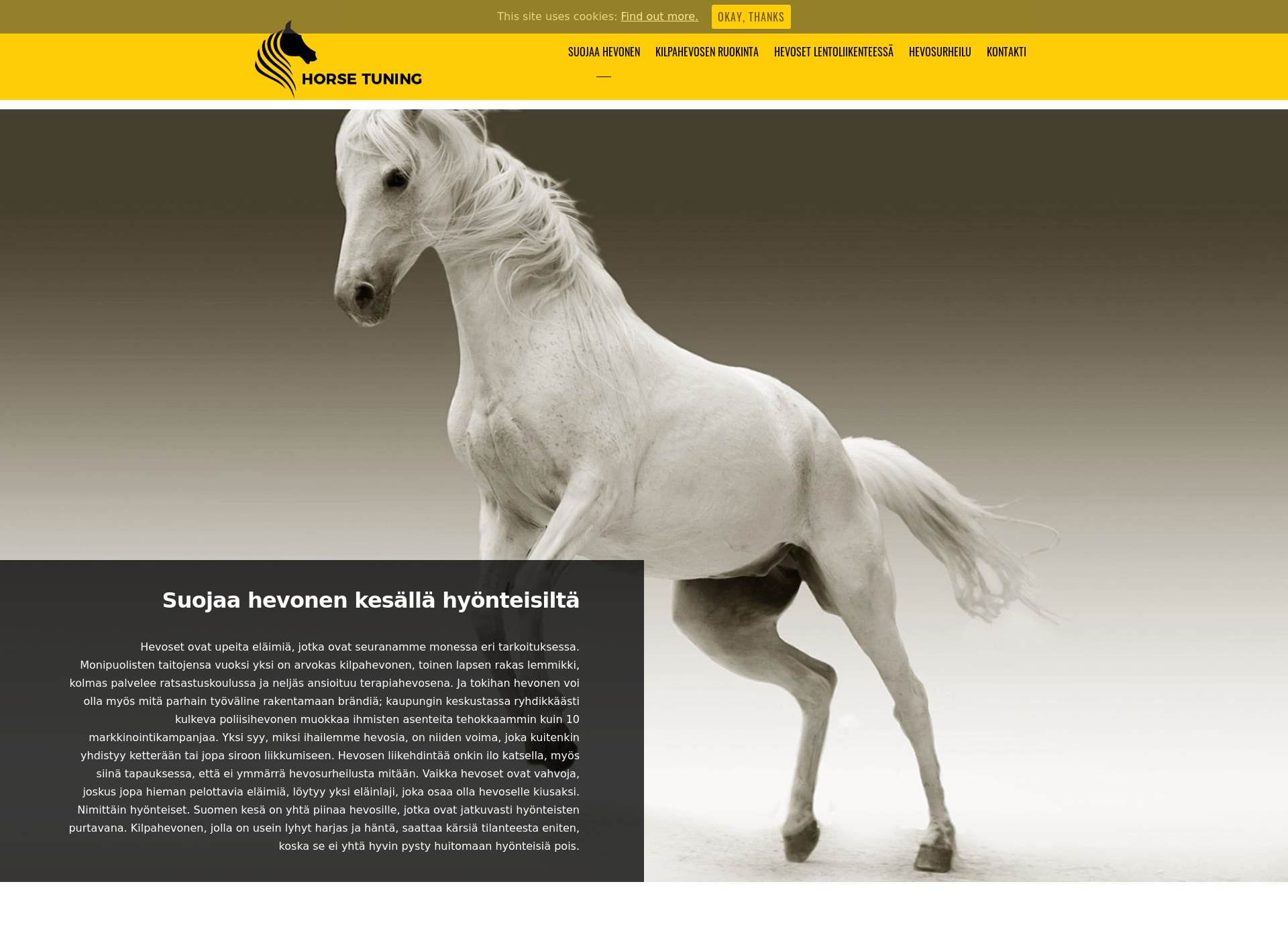 Skärmdump för horsetuning.fi