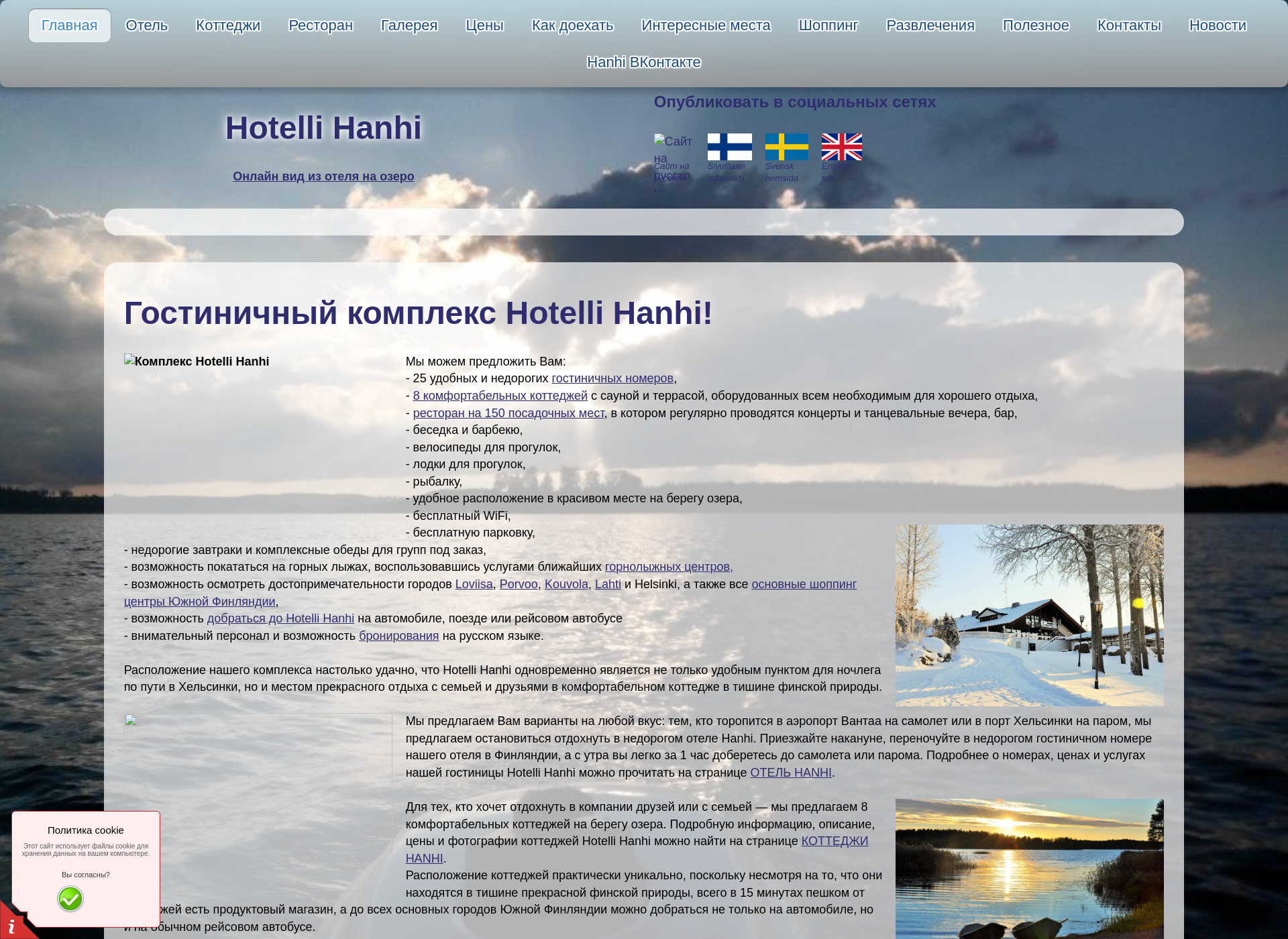 Screenshot for hotellihanhi.fi