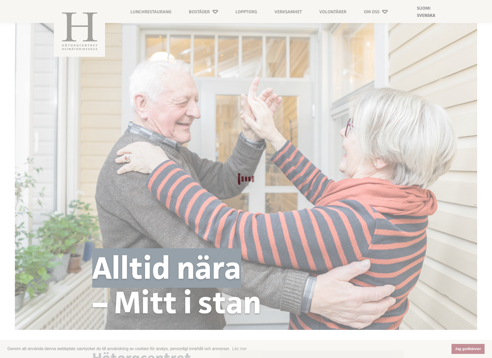 Screenshot for hotorgcentret.fi