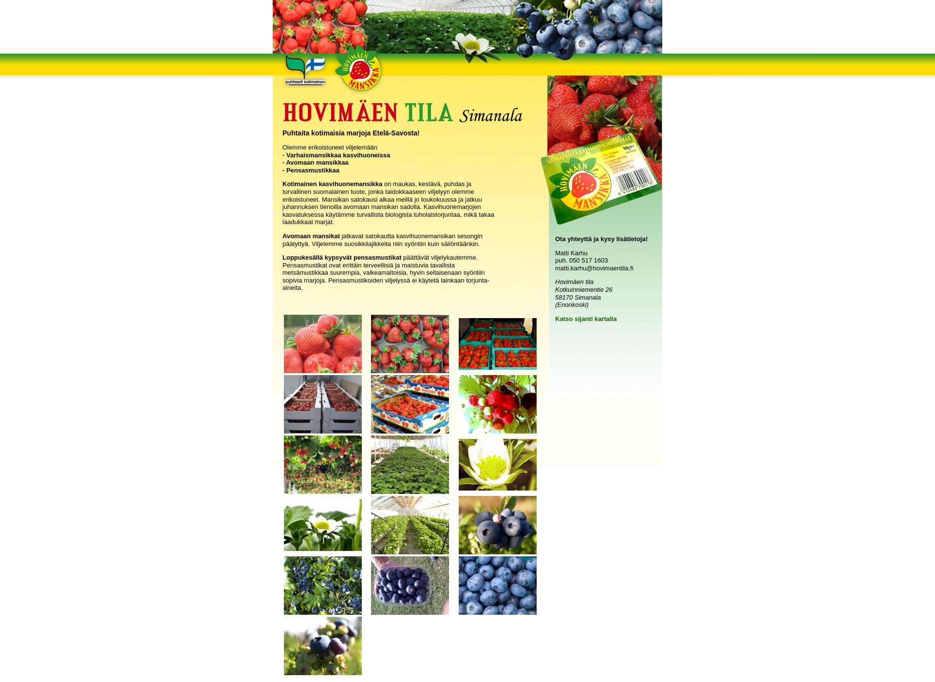 Screenshot for hovimaentila.fi