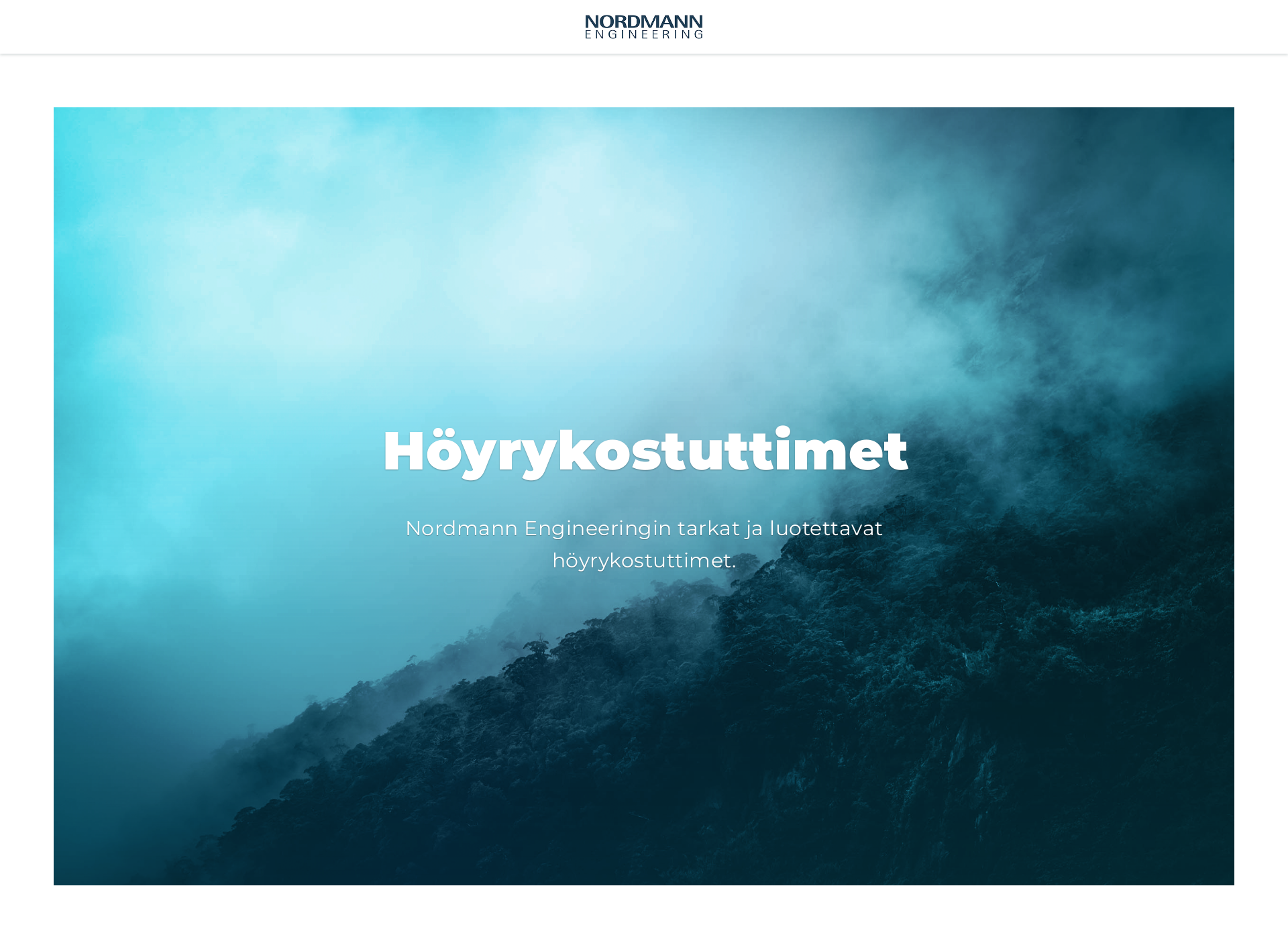 Skärmdump för hoyrykostutin.fi