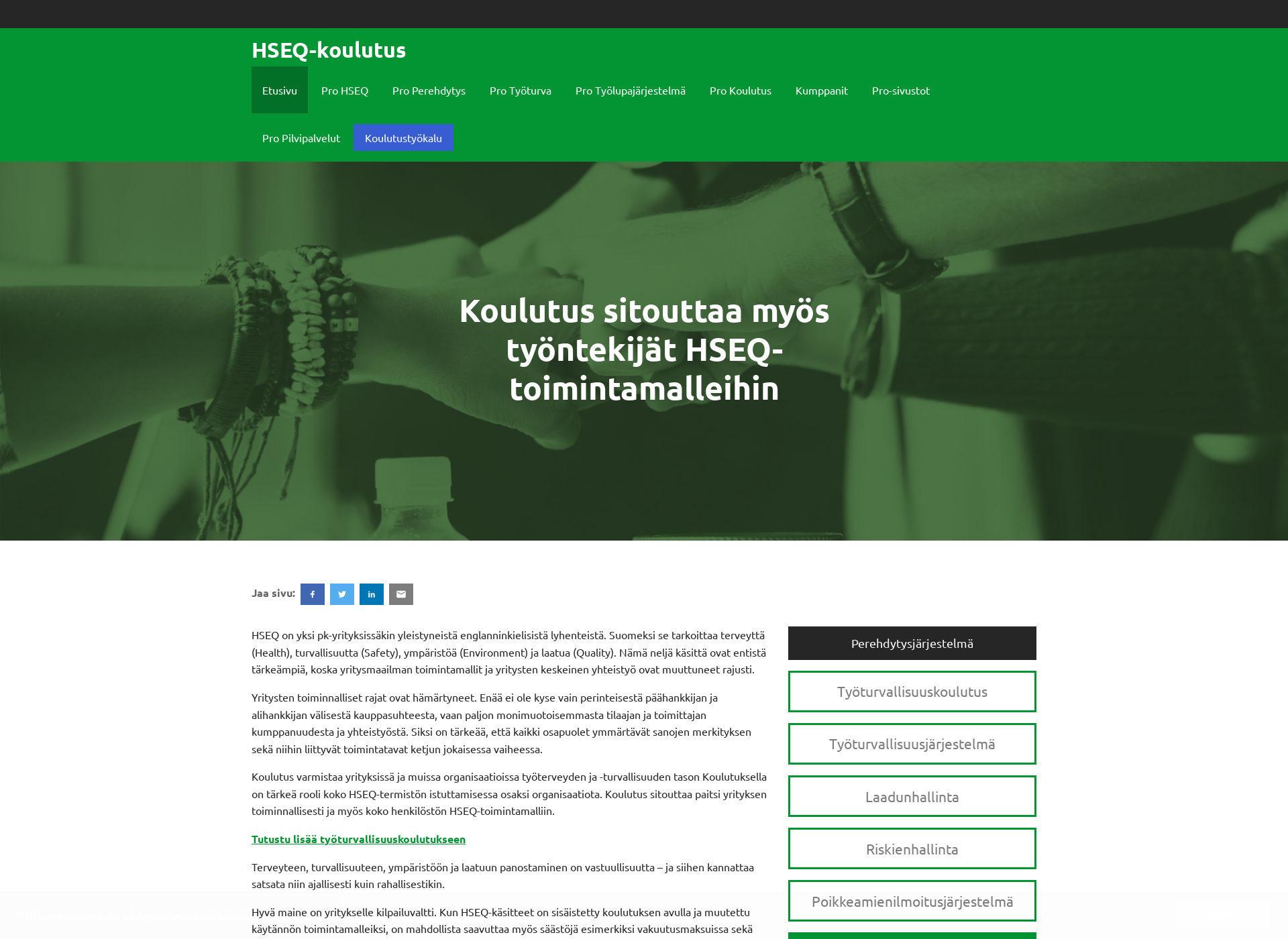 Skärmdump för hseq-koulutus.fi