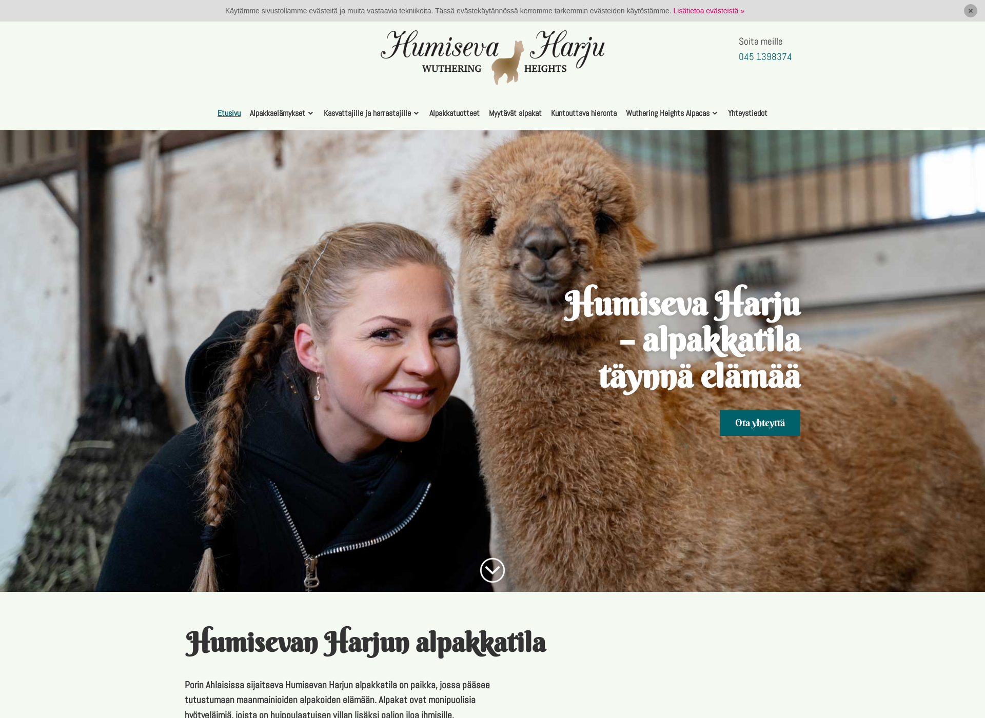 Screenshot for humisevaharju.fi