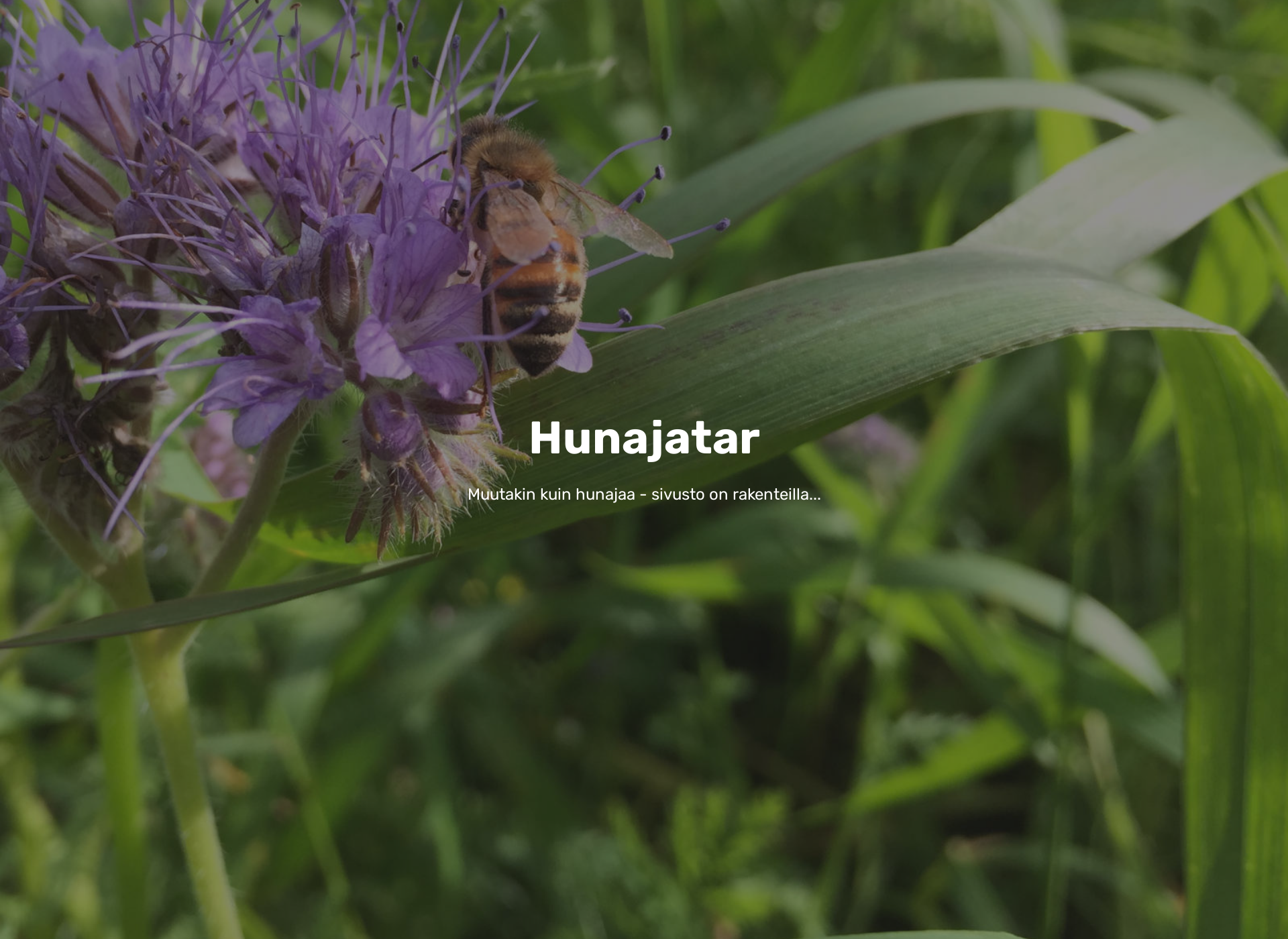 Screenshot for hunajatar.fi